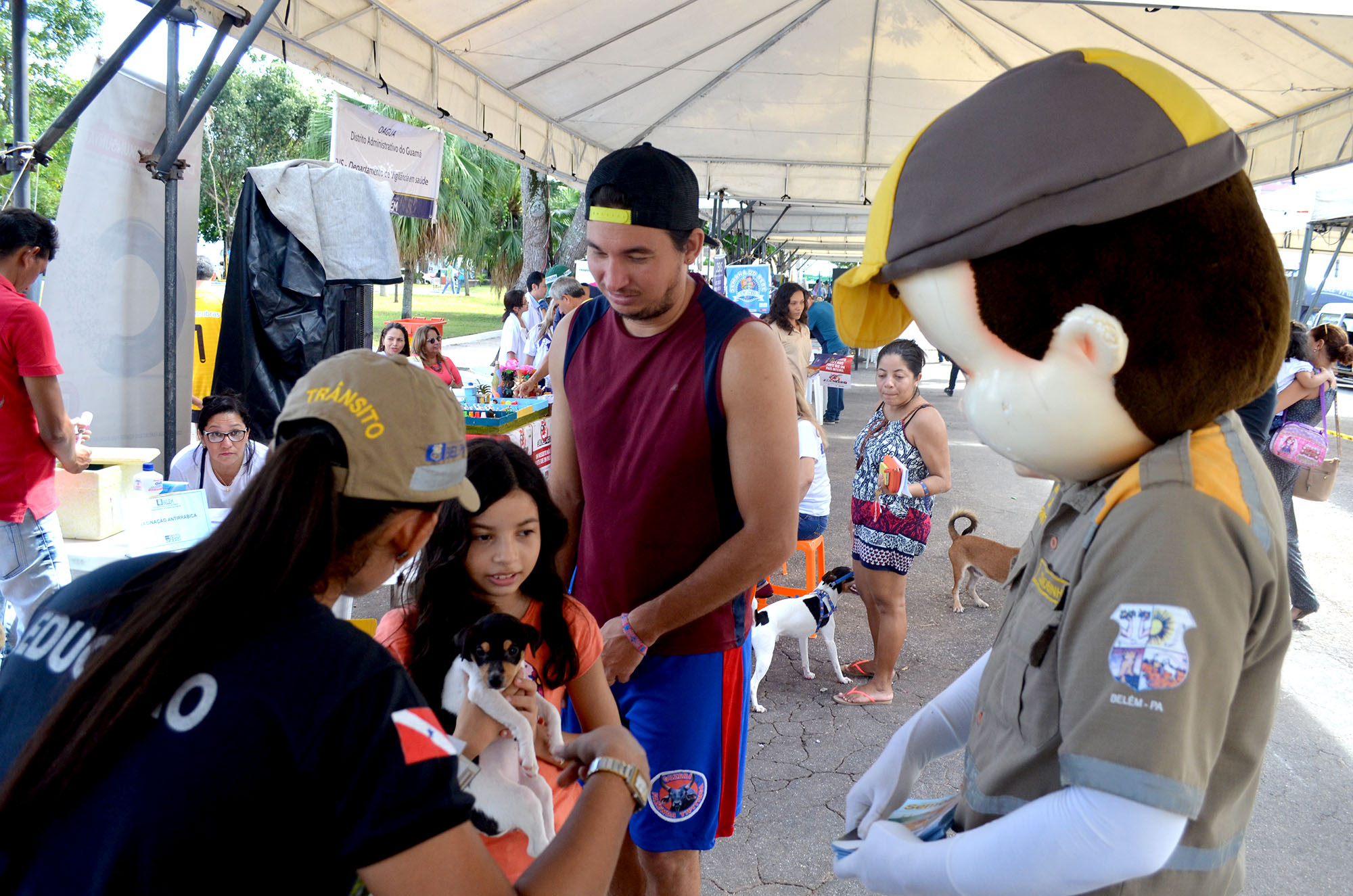 Feira de adoção chega à 10ª edição com novos lares para cerca de 300 cães e gatos