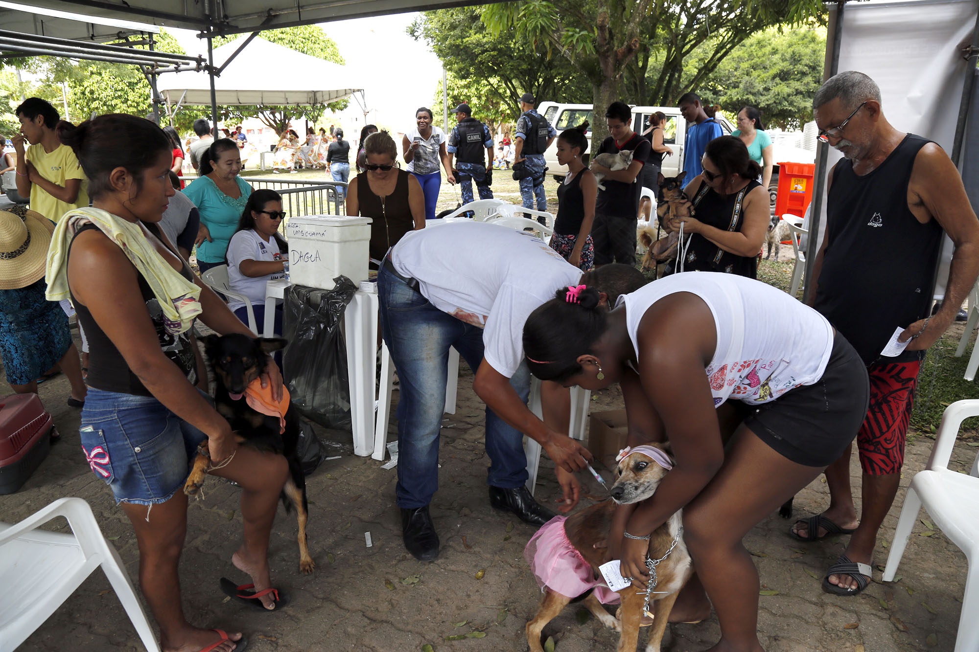 Parceria entre Prefeitura de Belém e espaço que abriga animais leva Feira de Adoção à praça do Marex