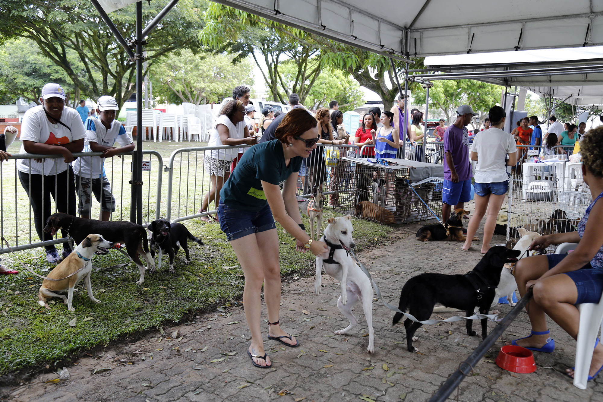 Parceria entre Prefeitura de Belém e espaço que abriga animais leva Feira de Adoção à praça do Marex