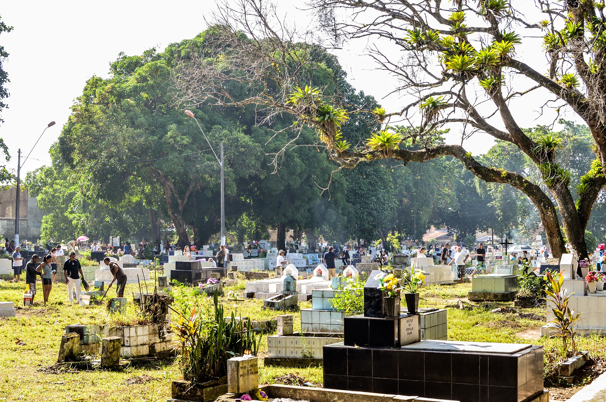 Feriado de finados movimenta cemitérios e visitação supera estimativa de 60 mil pessoas