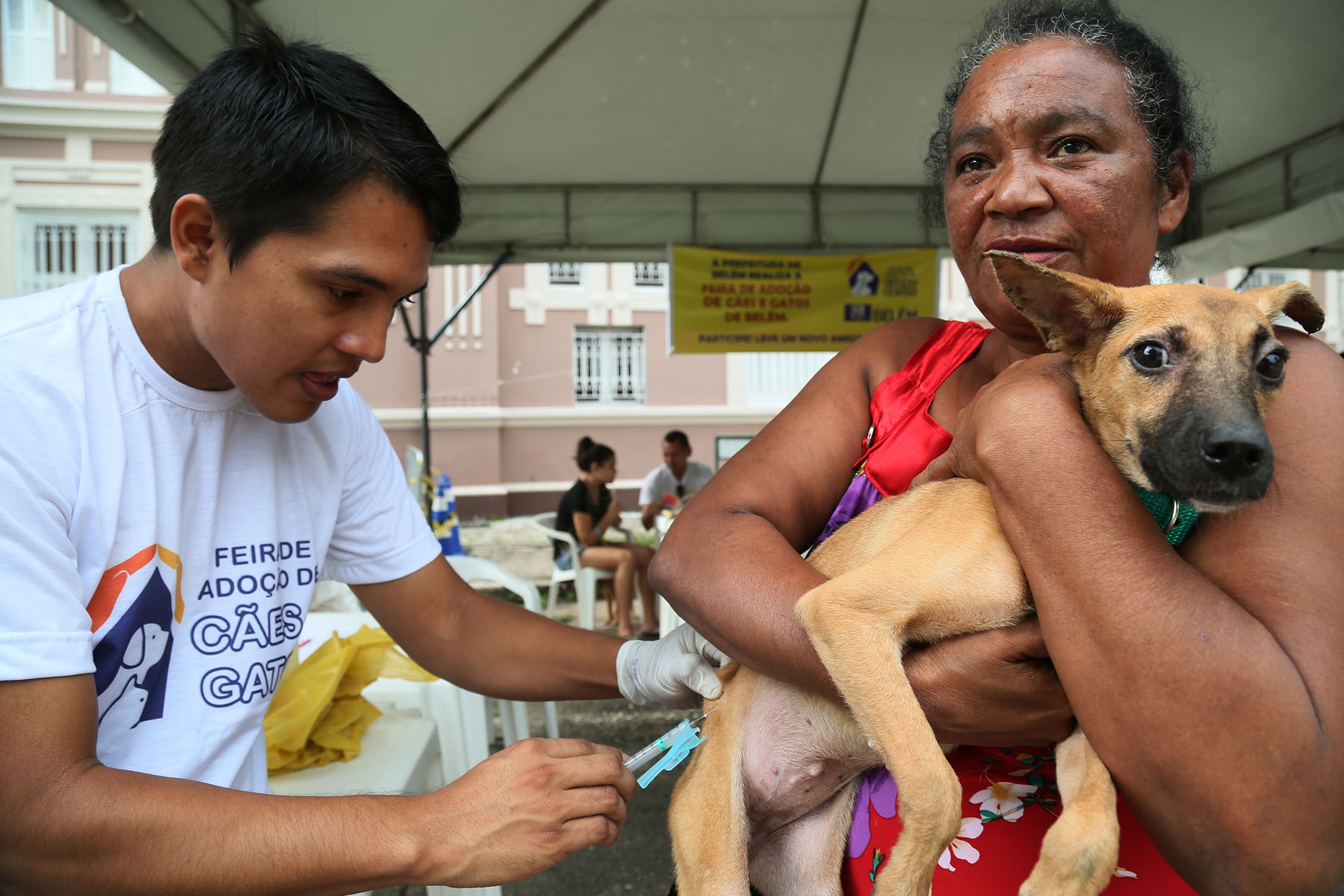 Vacinação antirrábica deve imunizar mais de 150 mil cães e gatos em Belém