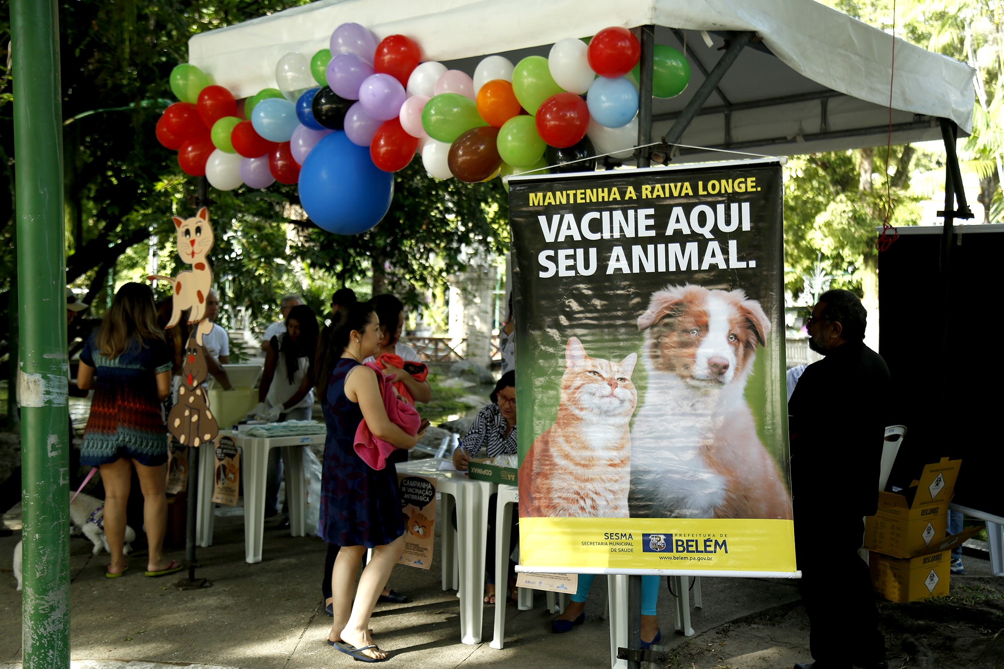 Campanha de vacinação antirrábica de cães e gatos lota postos de atendimento