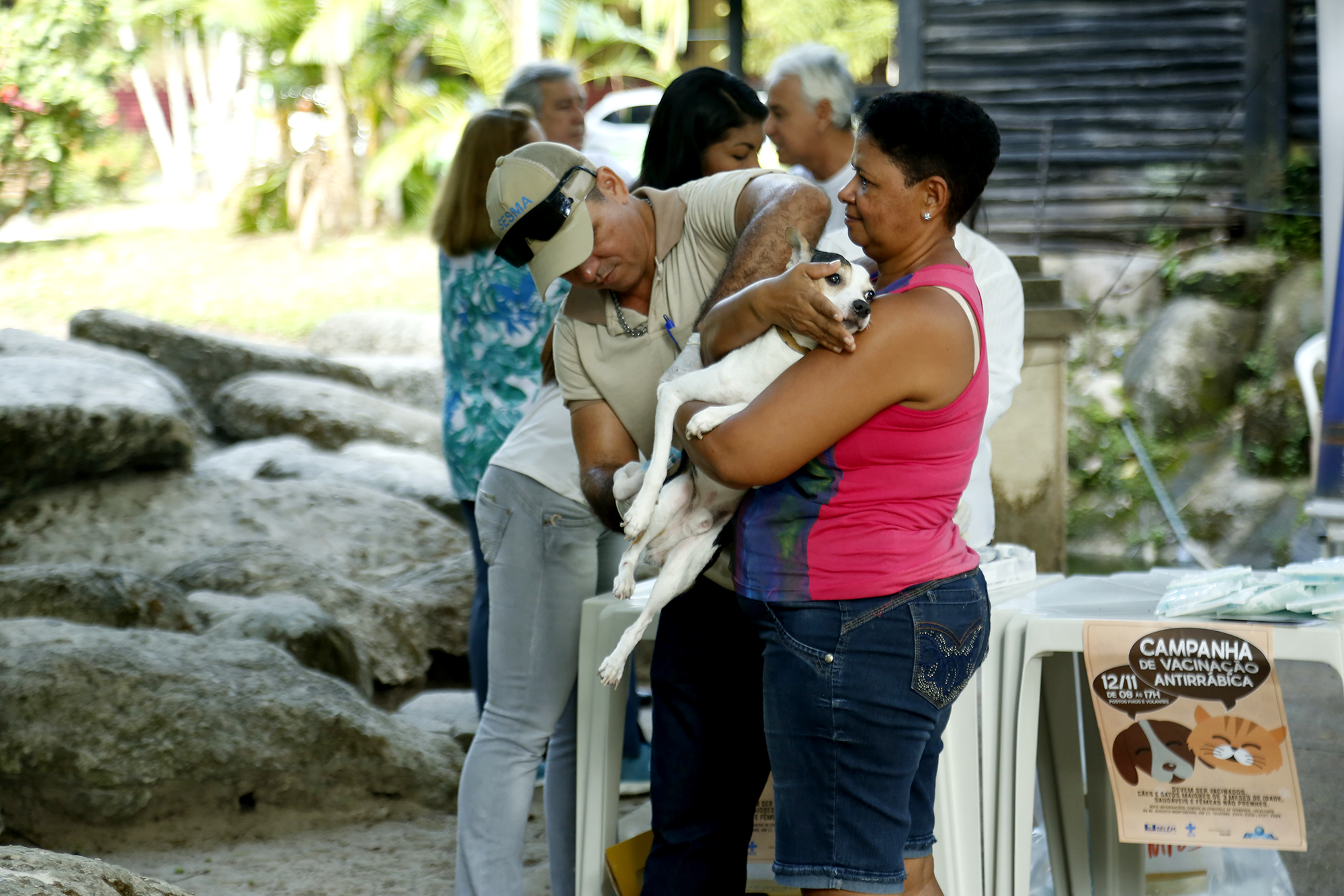 Campanha de vacinação antirrábica de cães e gatos lota postos de atendimento