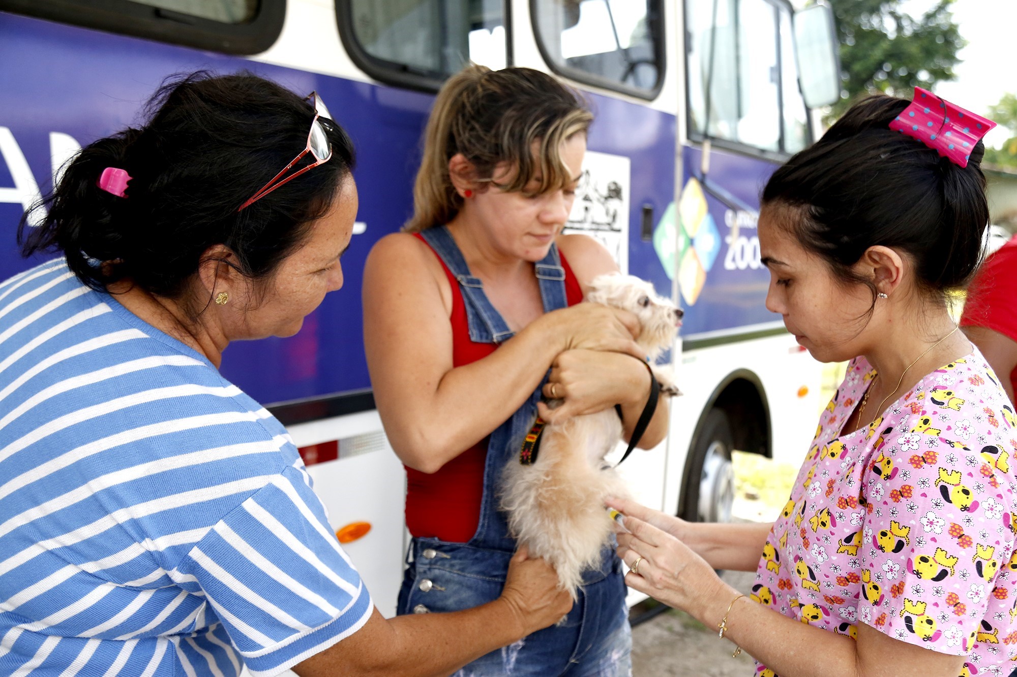 Castramóvel chega ao bairro do Benguí com mais de 400 cirurgias agendadas