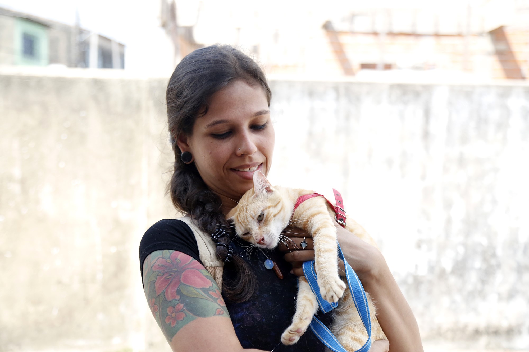 Castramóvel chega ao bairro do Benguí com mais de 400 cirurgias agendadas