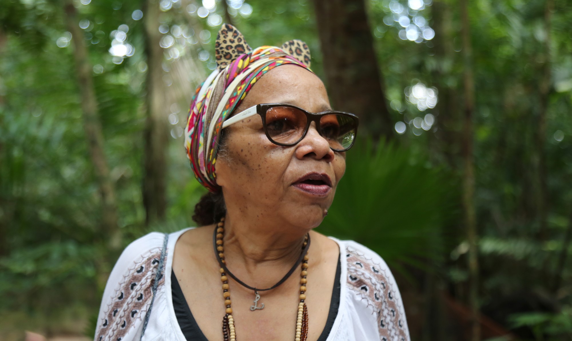 Nova jaguatirica do Bosque Rodrigues Alves é apresentada ao público