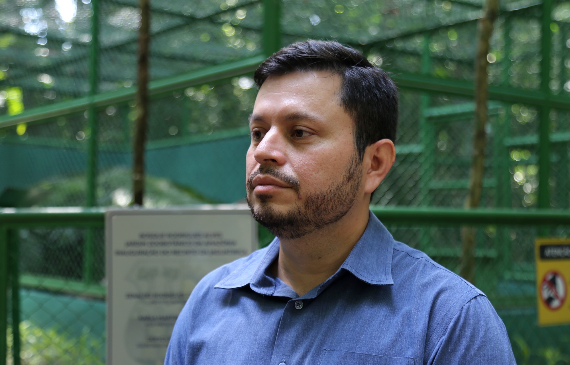 Nova jaguatirica do Bosque Rodrigues Alves é apresentada ao público