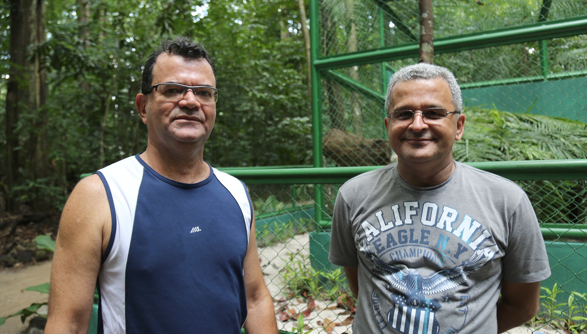 Nova jaguatirica do Bosque Rodrigues Alves é apresentada ao público