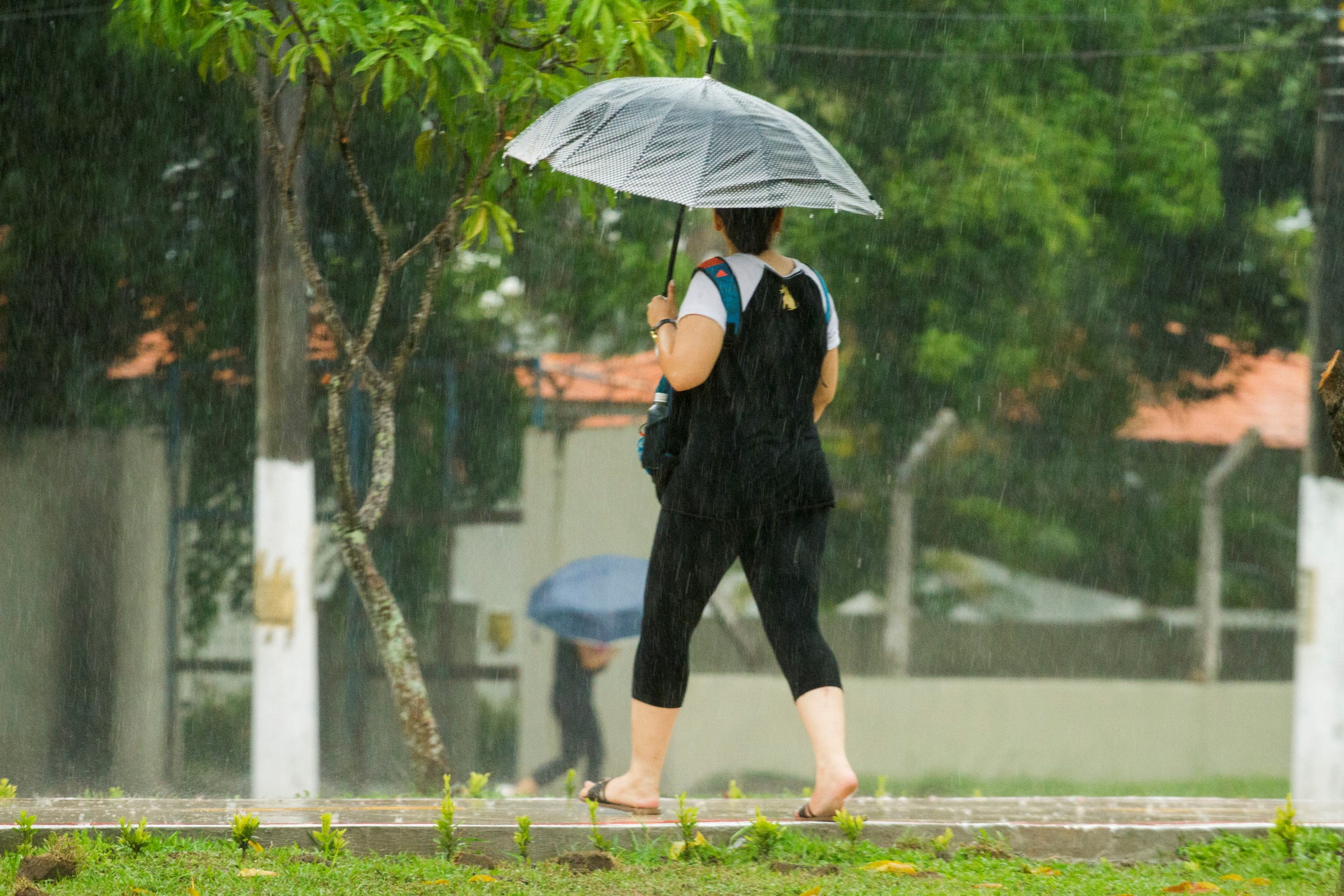 Chegada do período chuvoso exige cuidados com a saúde