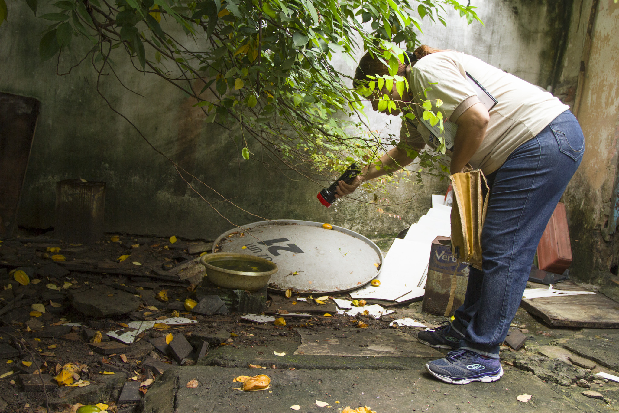 Pesquisa verifica infestação do mosquito Aedes aegypti nos bairros de Belém