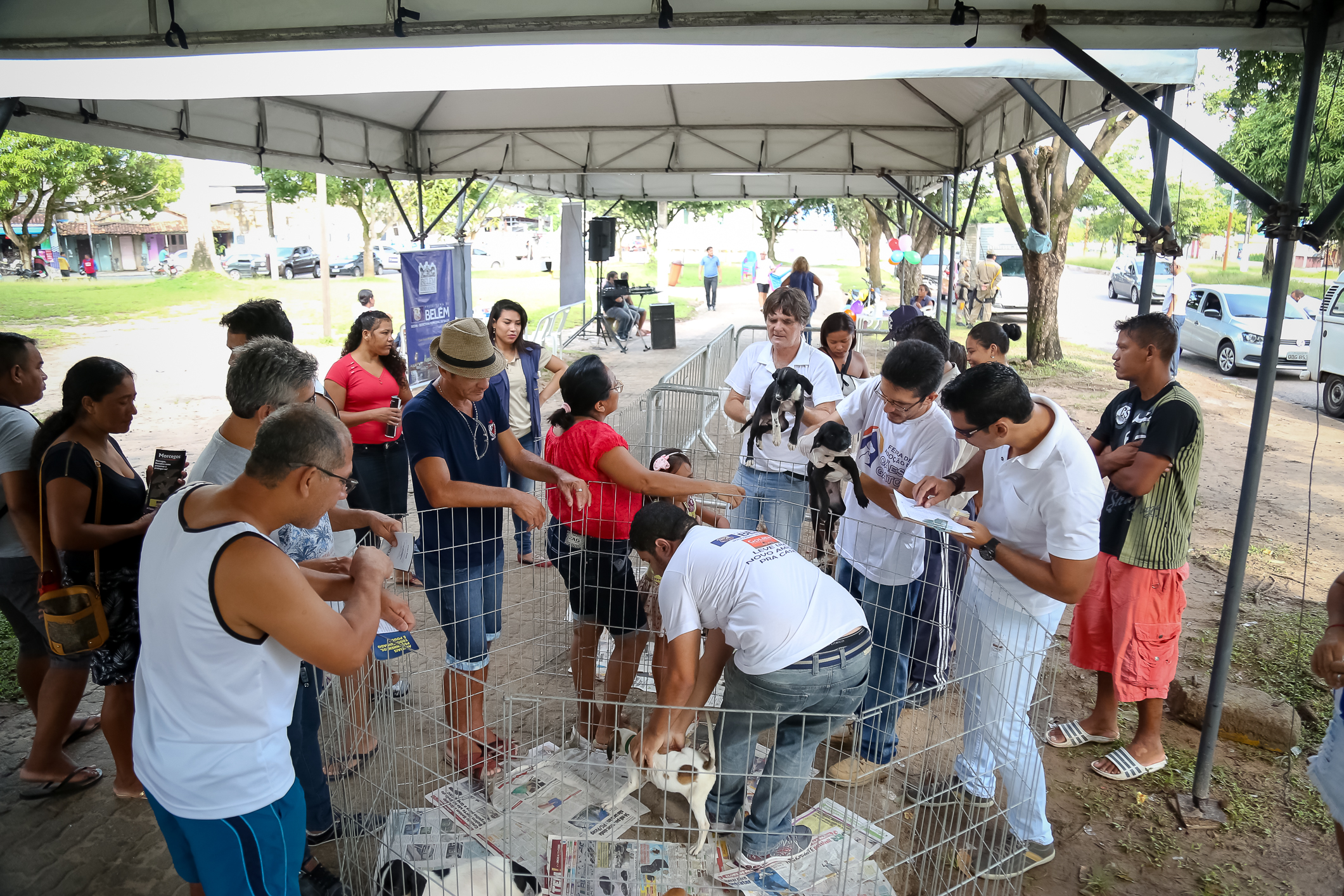 Feira de adoção proporciona novo lar para 30 animais