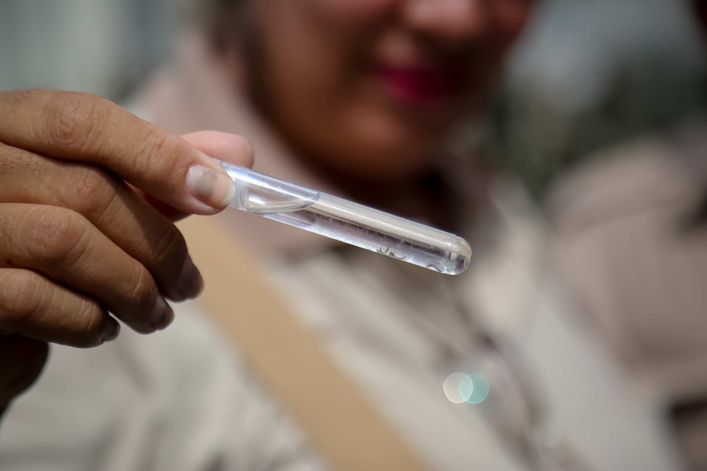 Levantamento revela aumento da infestação do mosquito Aedes aegypt no período de chuvas