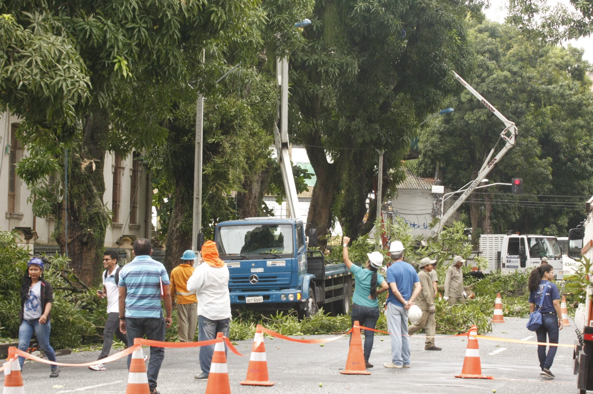 Prefeitura promove ação emergencial de manutenção de mangueiras para evitar quedas