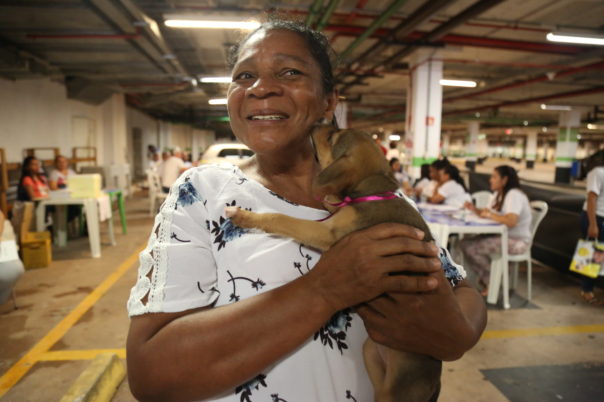 Cães e gatos ganham novos lares após Feira de Adoção