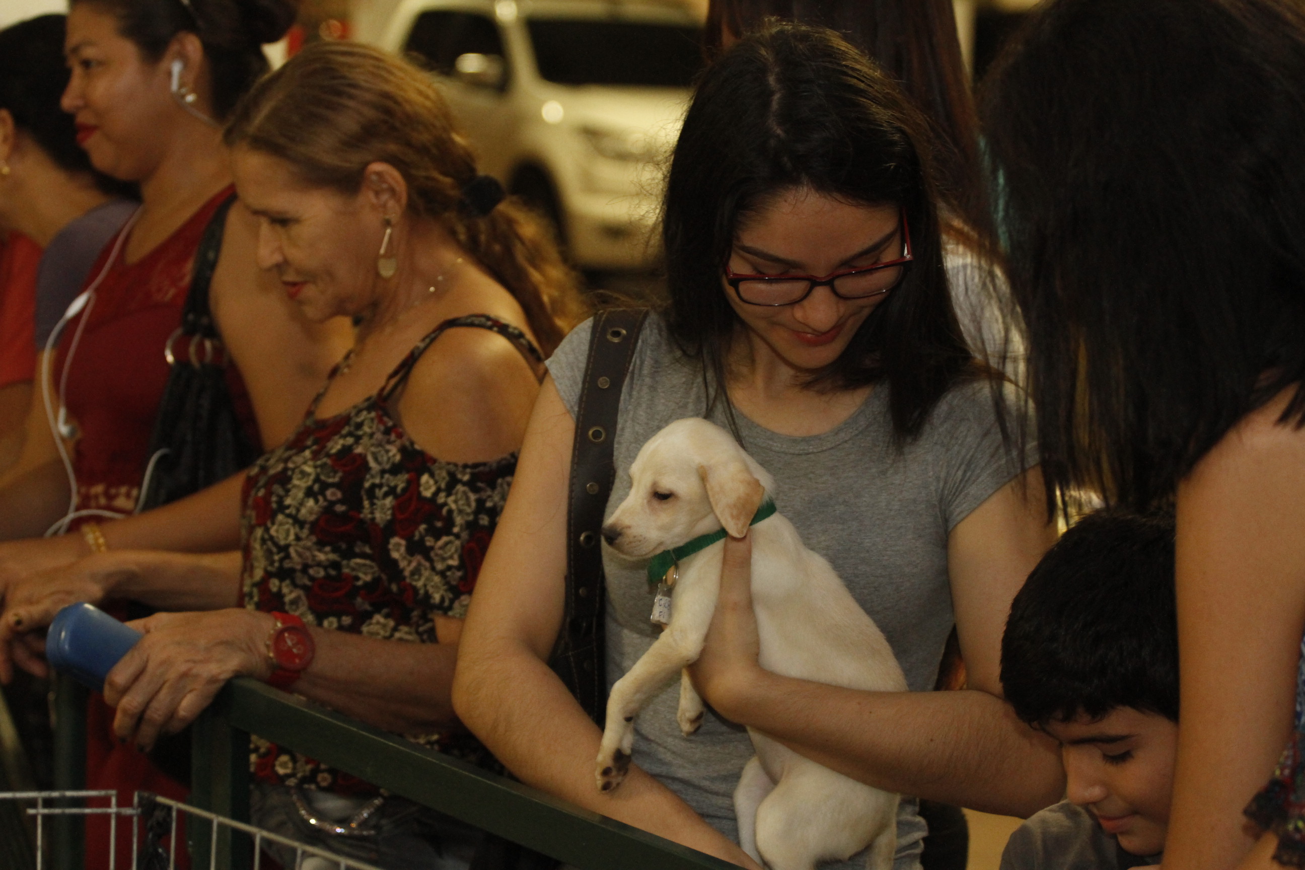 54 animais ganham um novo lar em mais uma Feira de Adoção de Cães e Gatos