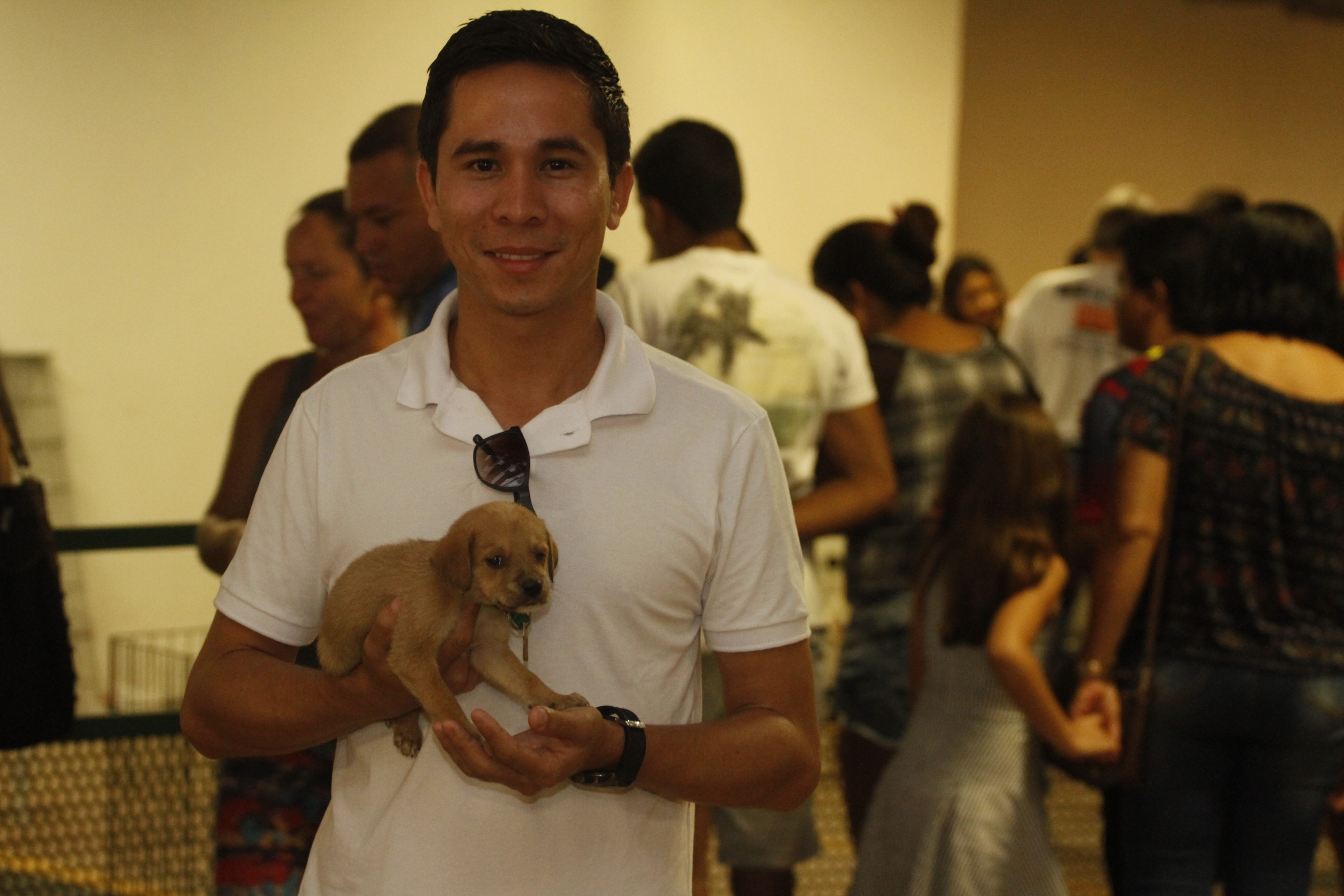 54 animais ganham um novo lar em mais uma Feira de Adoção de Cães e Gatos