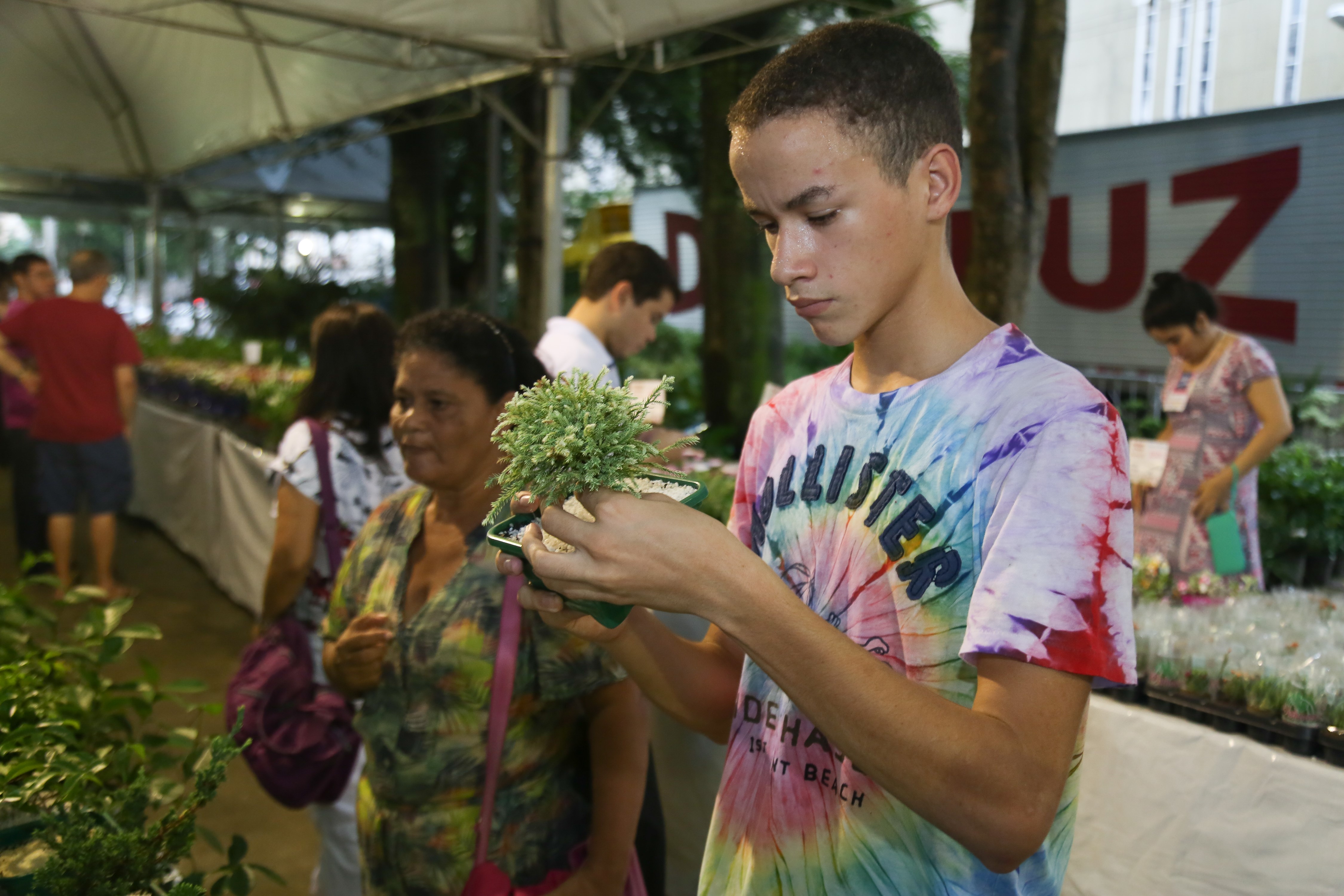 Belém recebe Festival das Flores de Holambra pelo segundo ano consecutivo