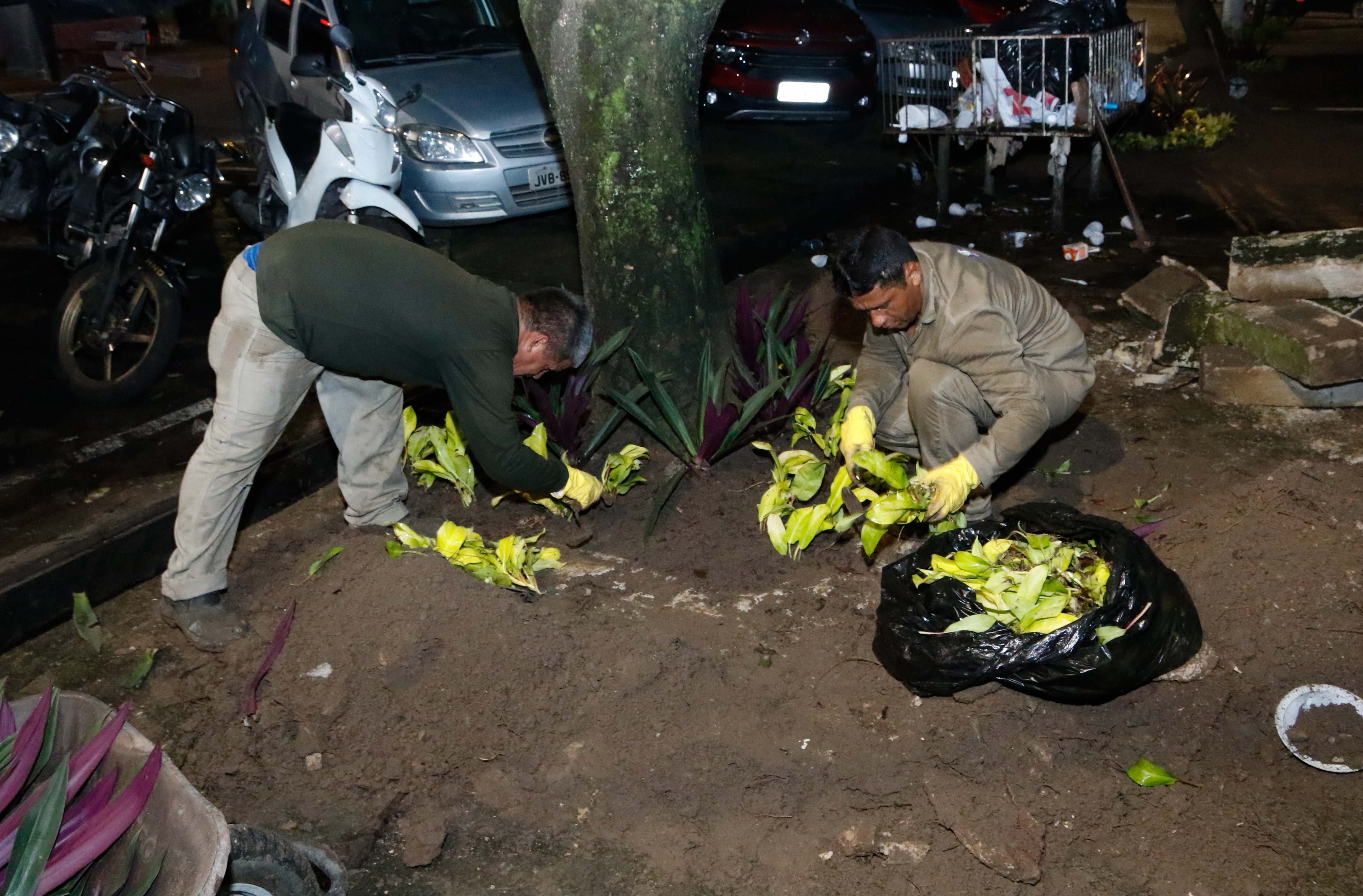 Projeto “Florir Belém” chega à avenida Governador José Malcher