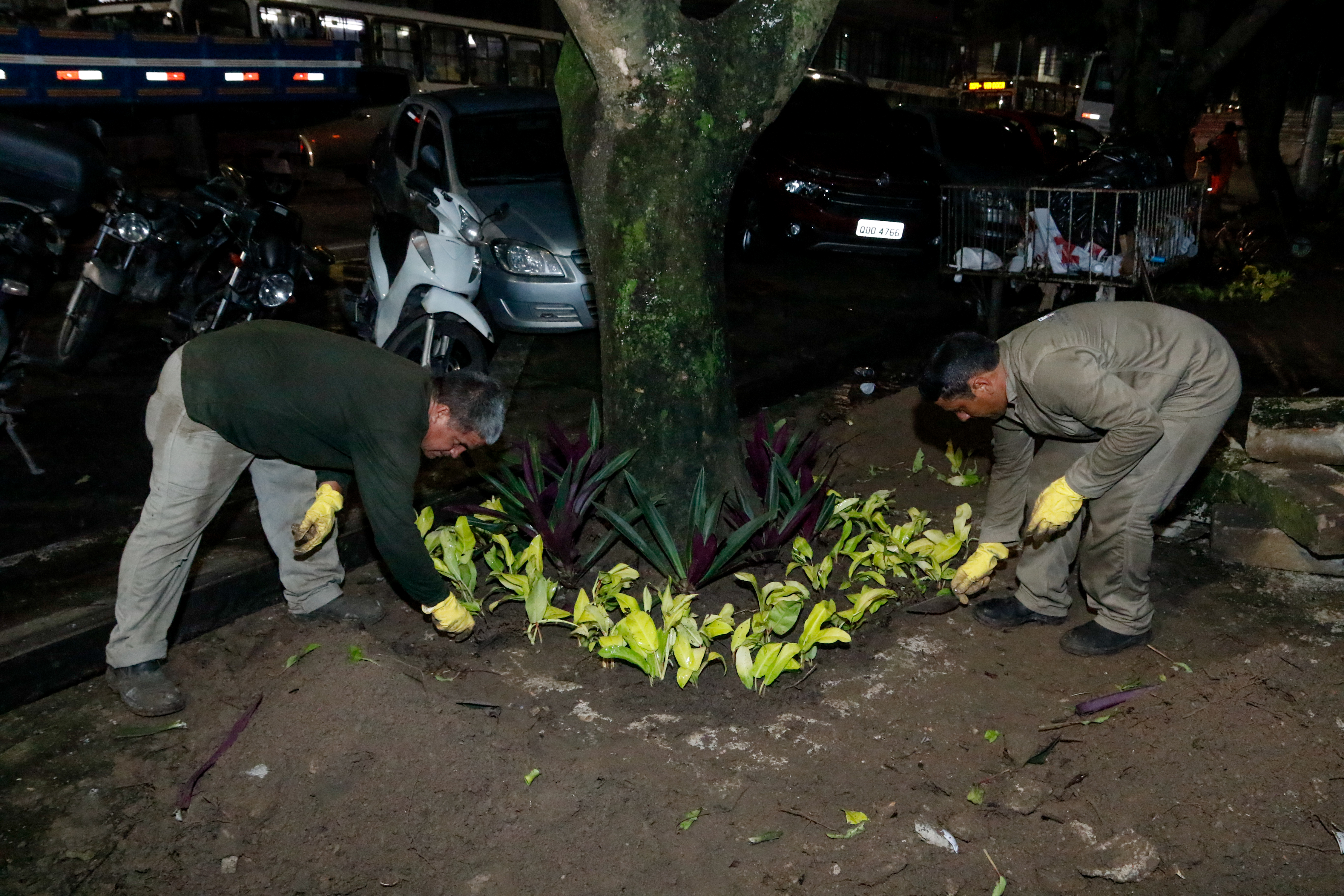Projeto “Florir Belém” chega à avenida Governador José Malcher