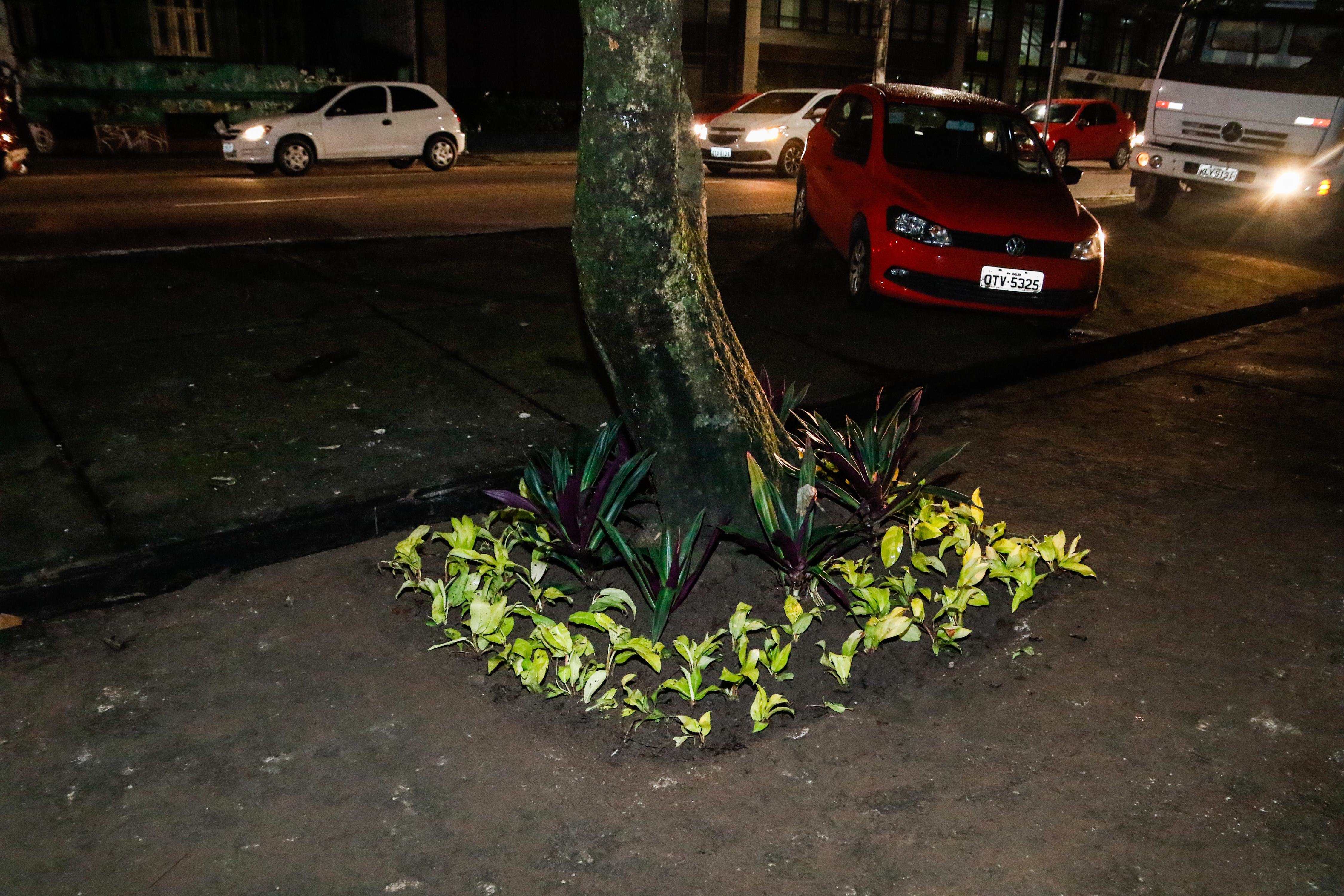 Projeto “Florir Belém” chega à avenida Governador José Malcher