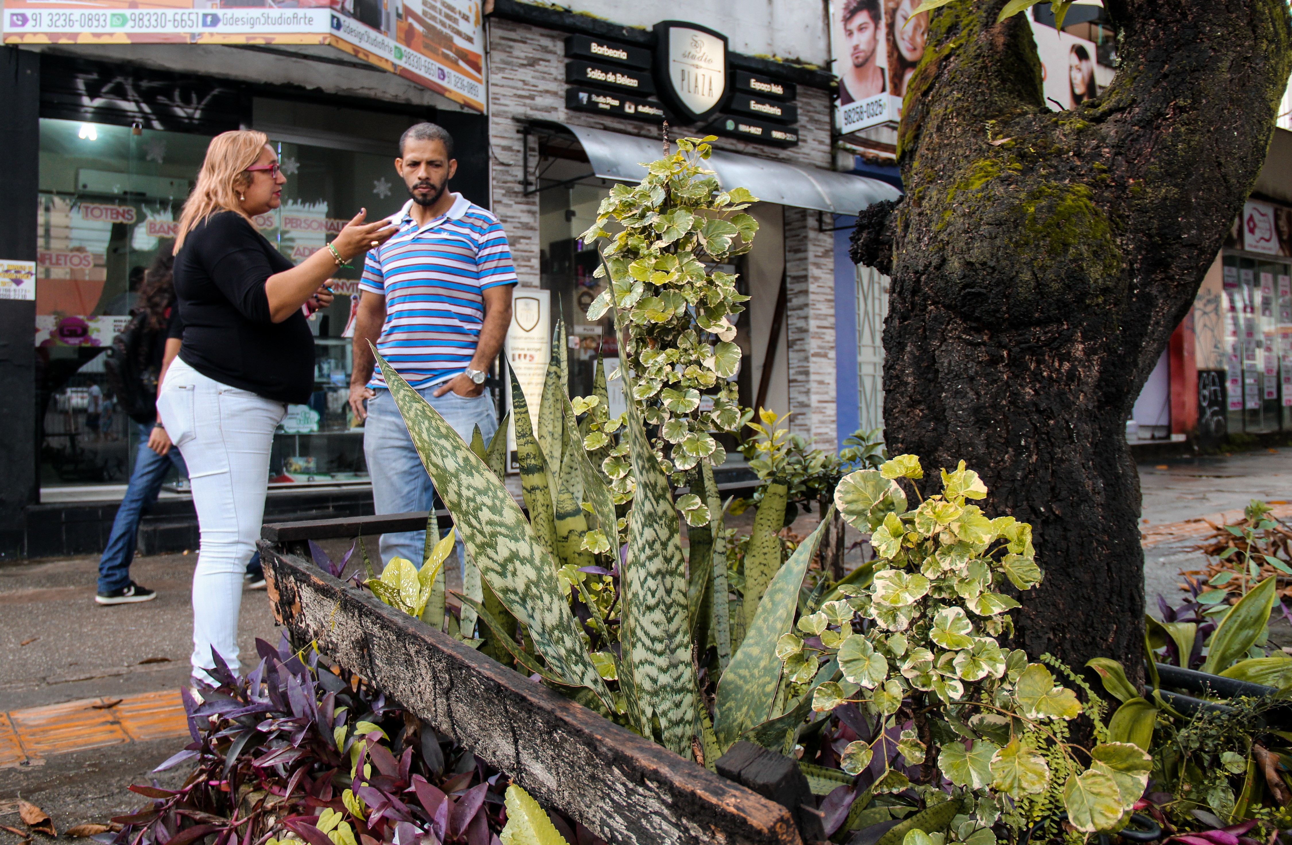 Projeto “Florir Belém” chega à avenida Governador José Malcher