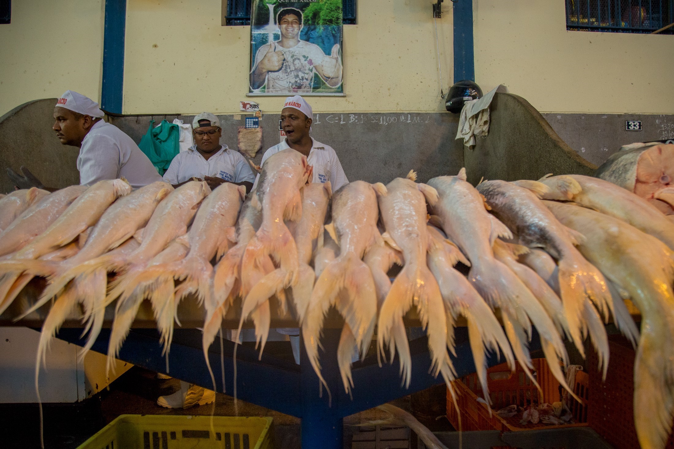 Decreto municipal garante abastecimento do mercado de peixes do Ver-o-Peso