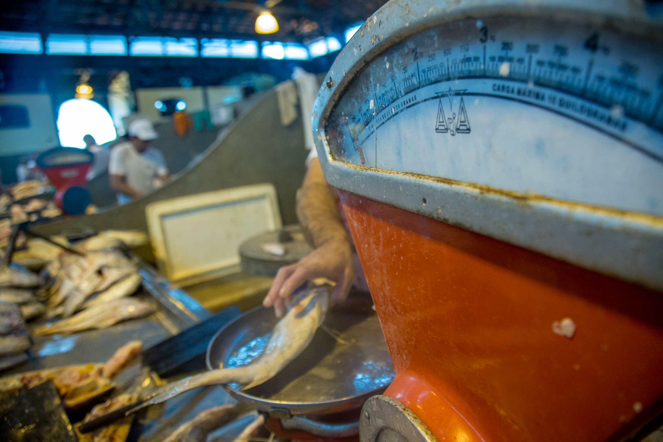 Preço do peixe cai, em Belém, após seis meses de alta