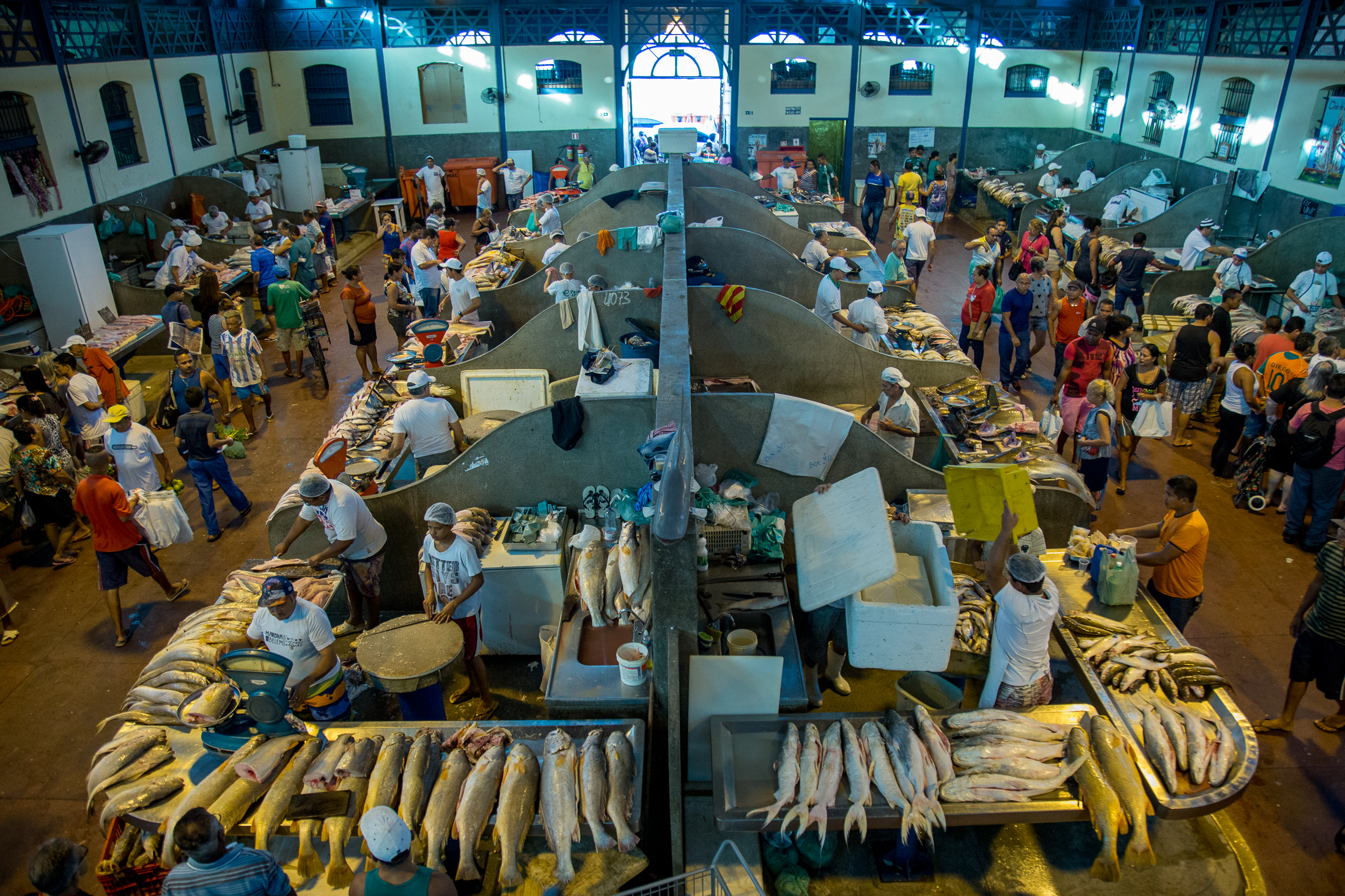 Decreto municipal garante abastecimento do mercado de peixes do Ver-o-Peso