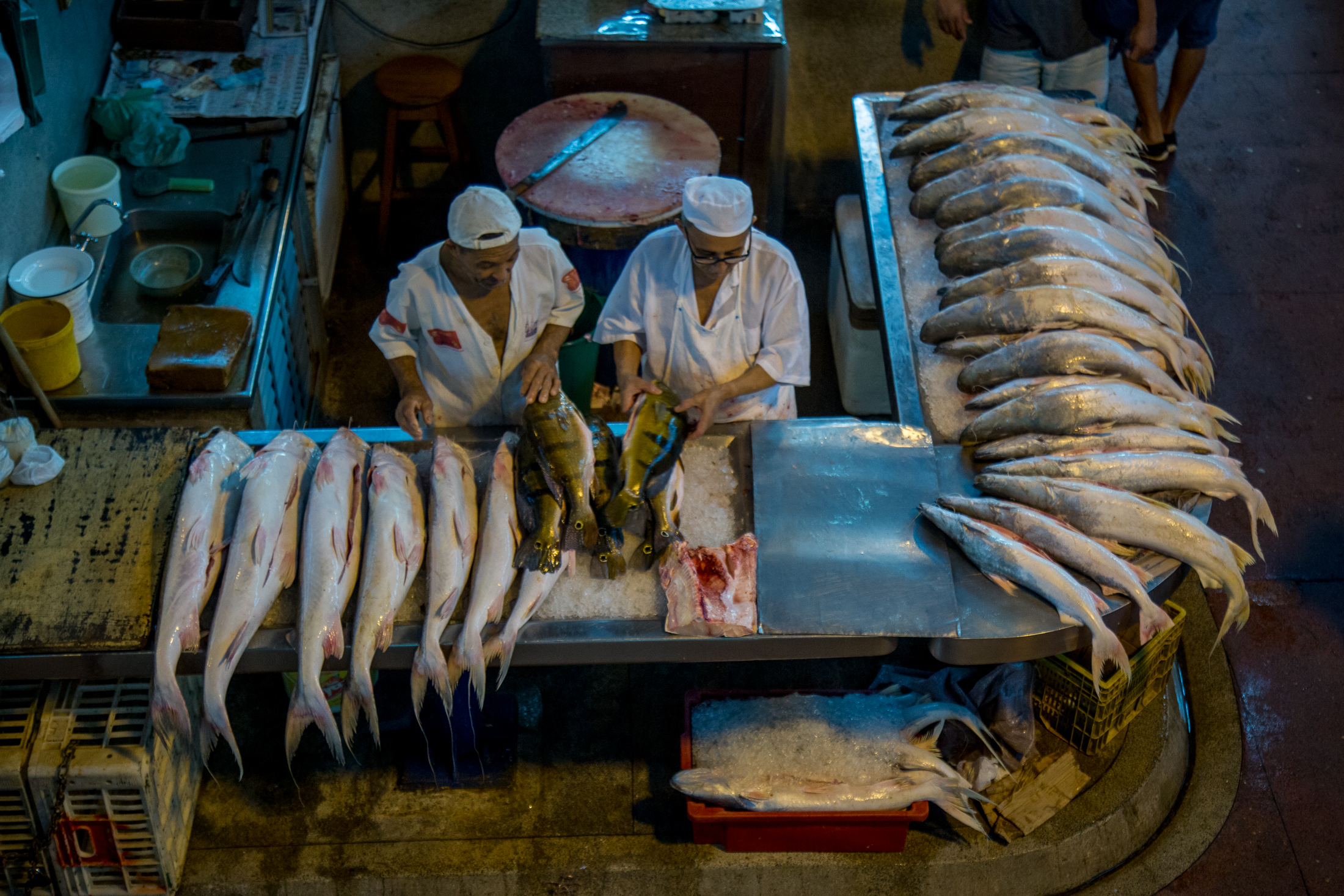 Decreto municipal garante abastecimento do mercado de peixes do Ver-o-Peso