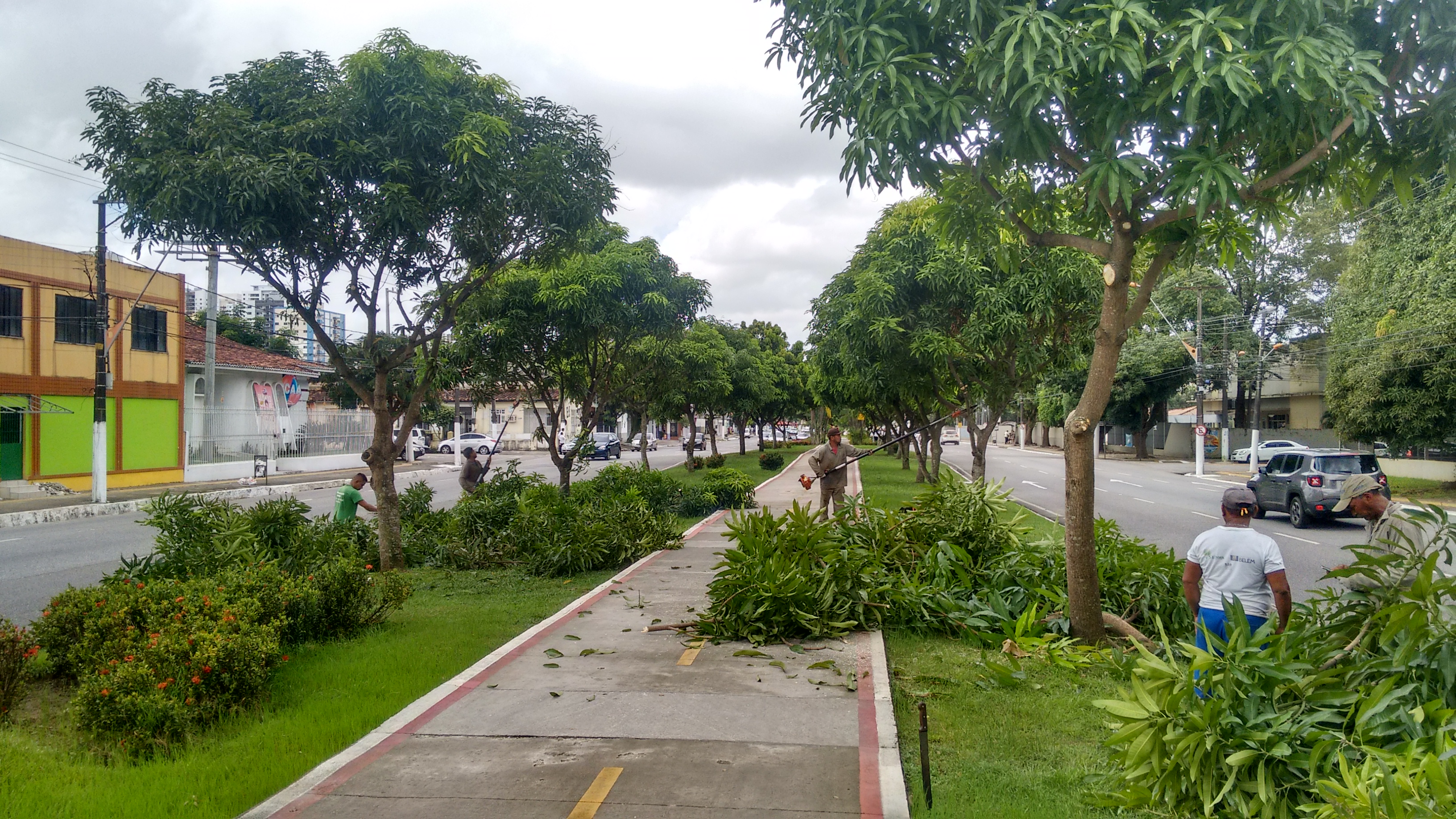 Ciclovia da Duque recebe manutenção e  poda de árvores