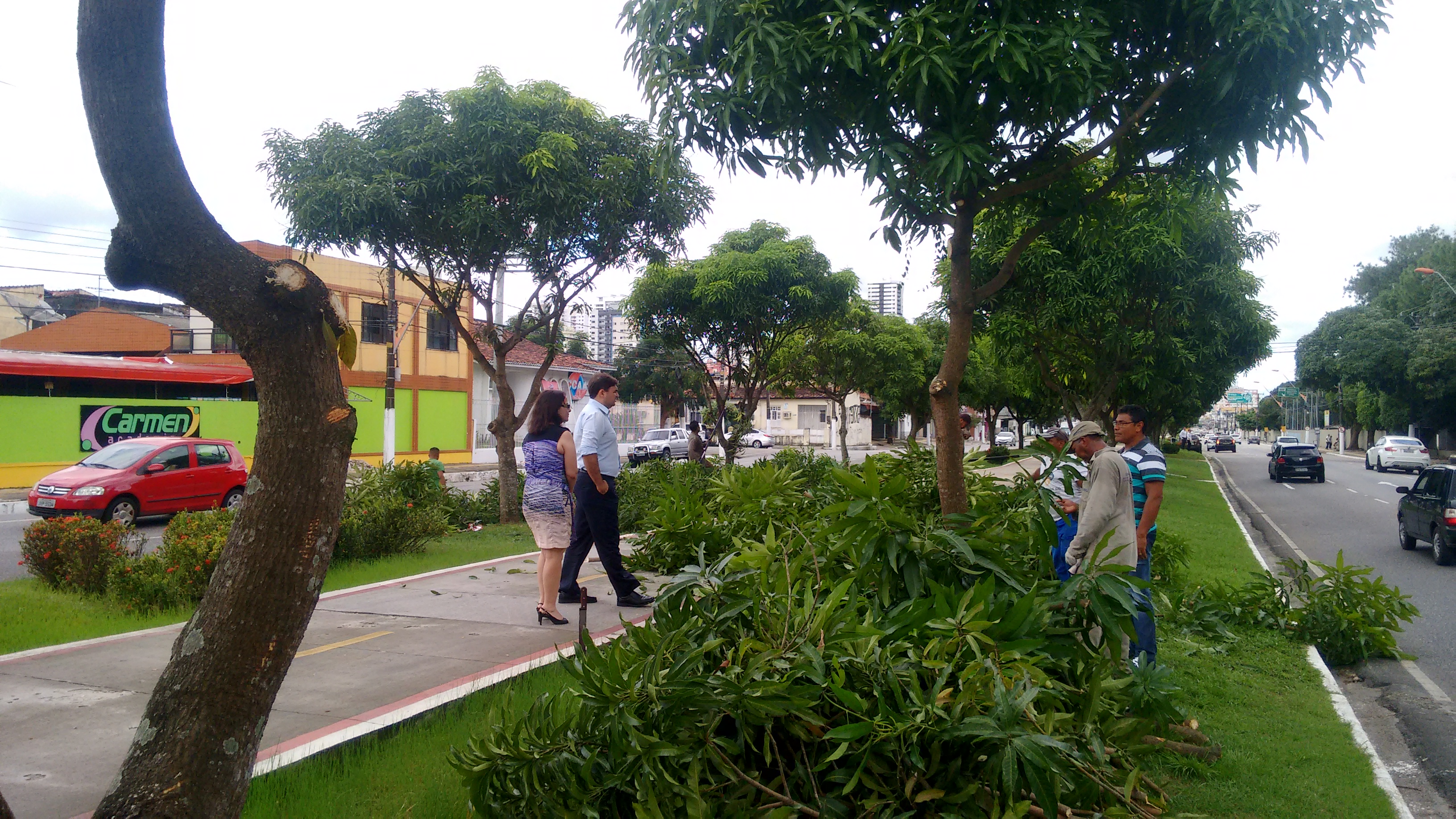 Ciclovia da Duque recebe manutenção e  poda de árvores