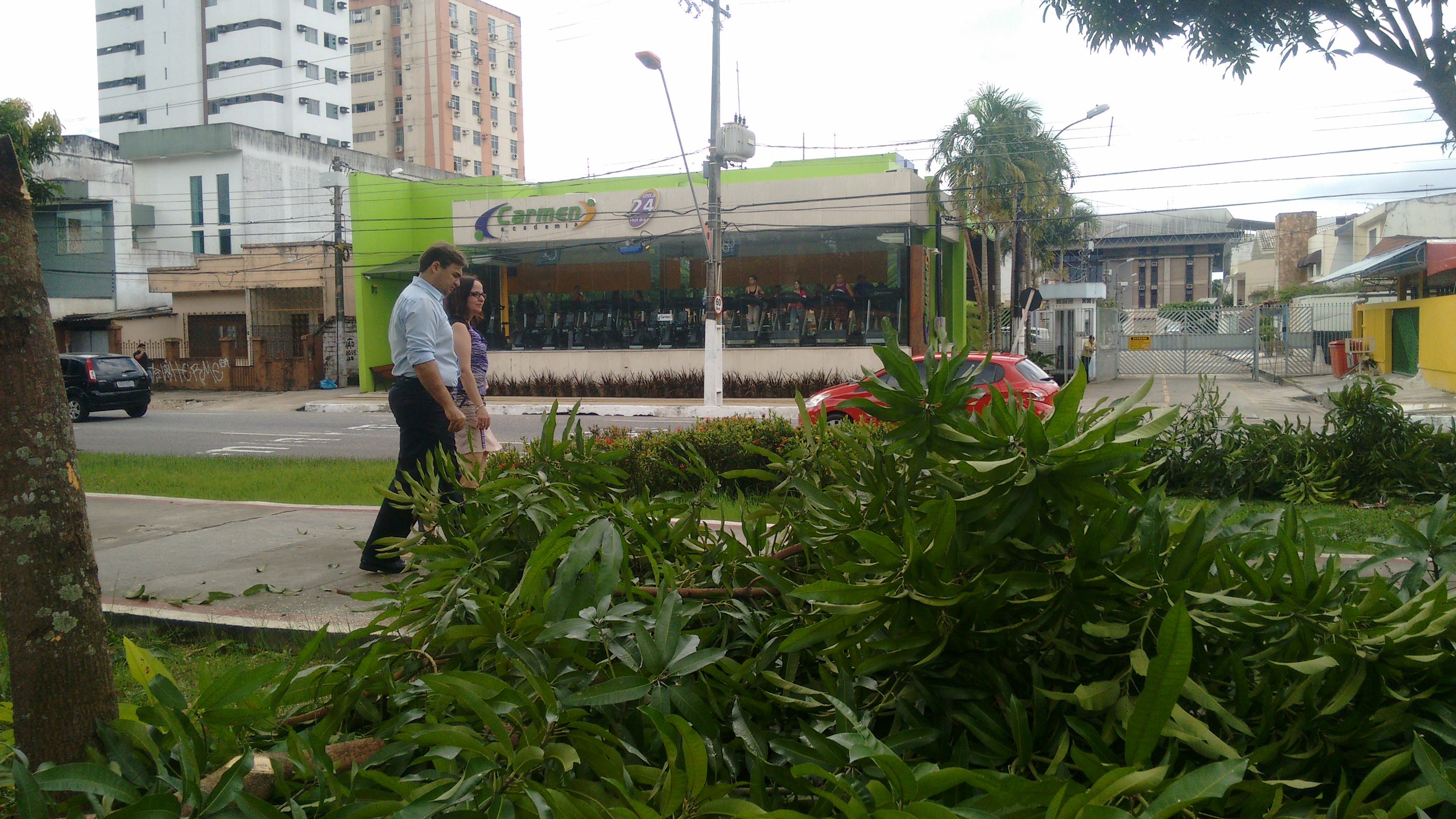 Ciclovia da Duque recebe manutenção e  poda de árvores