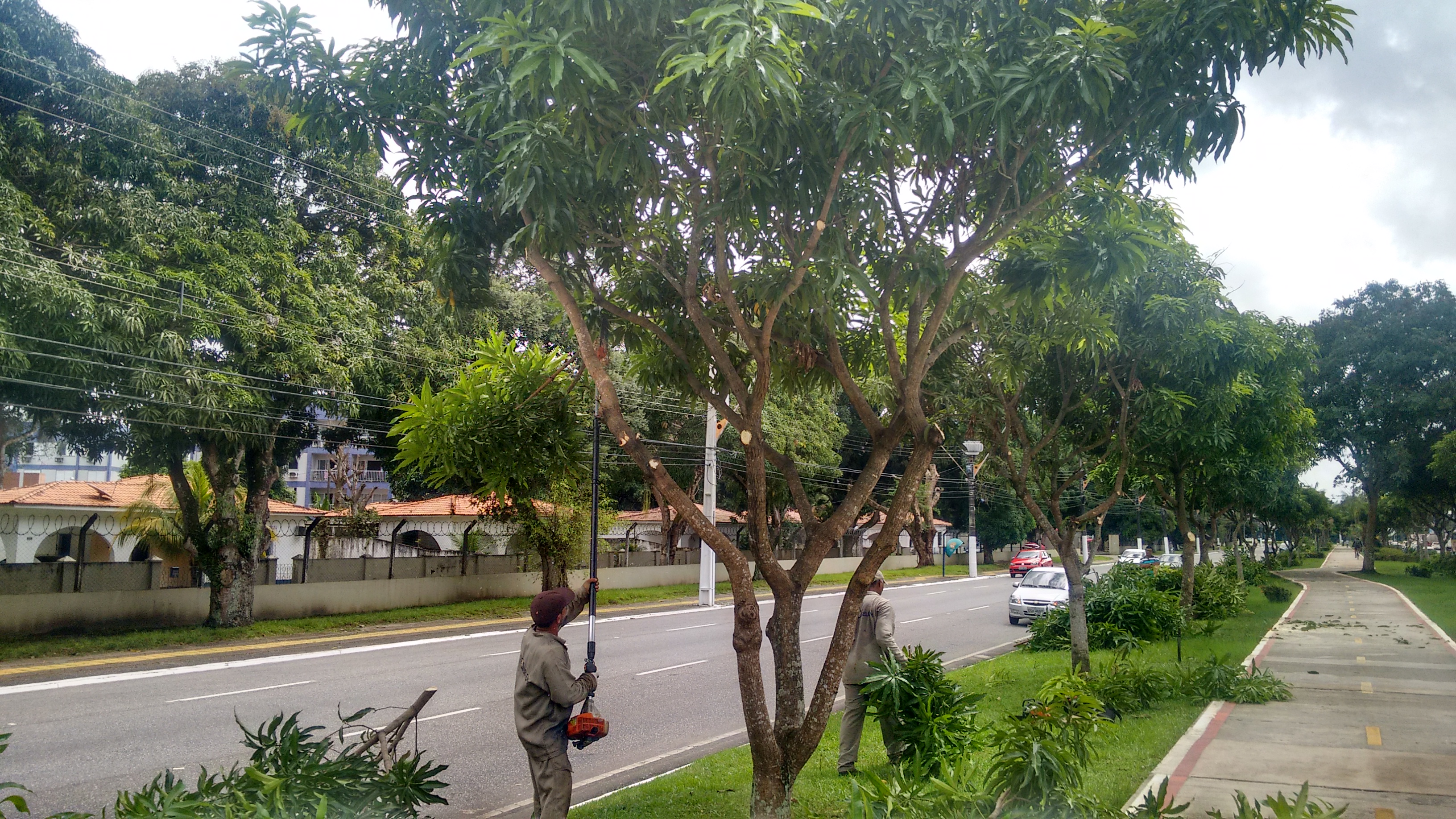 Ciclovia da Duque recebe manutenção e  poda de árvores