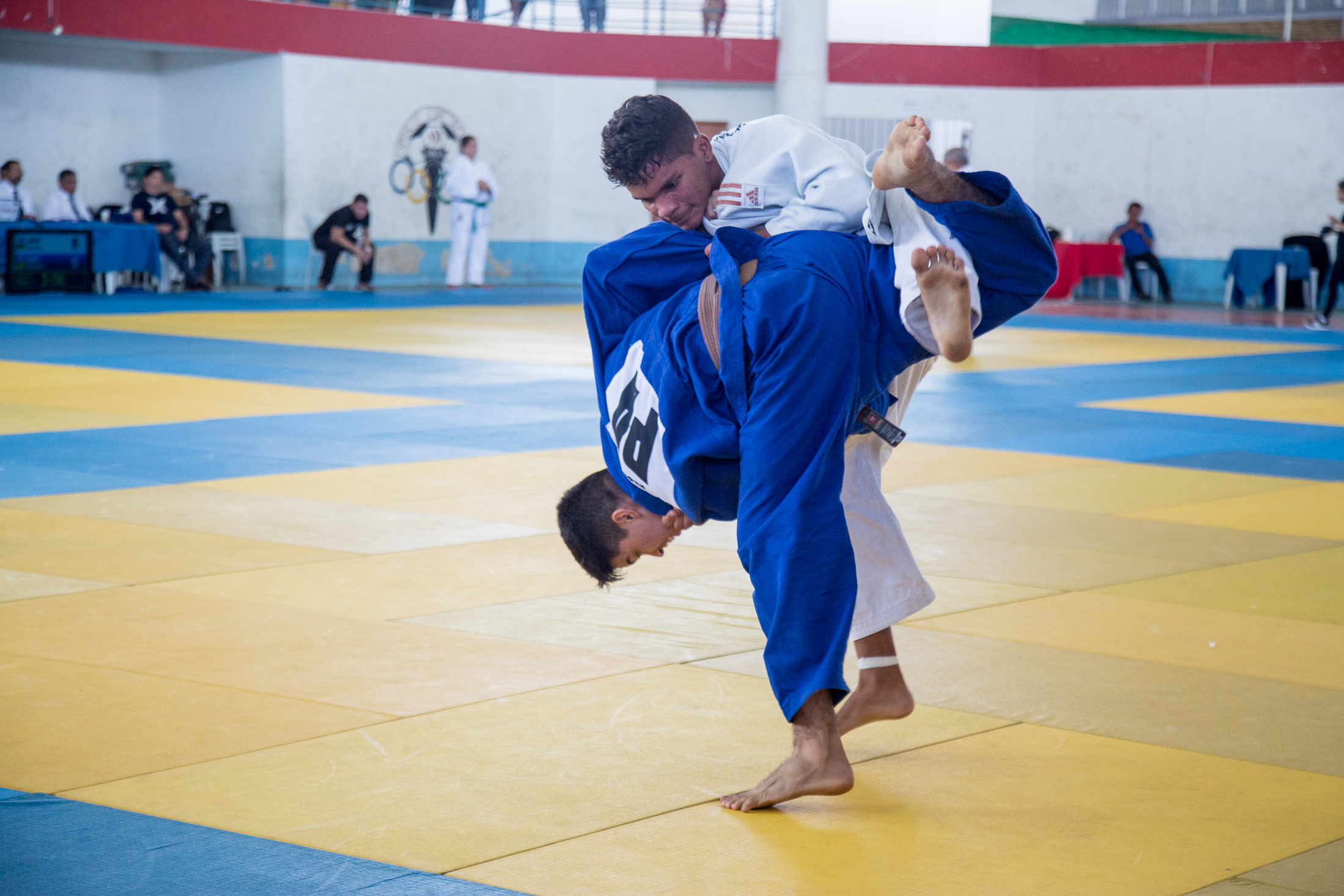 Alunos da Escola de Esporte conquistam medalhas no Campeonato Brasileiro Regional de Judô