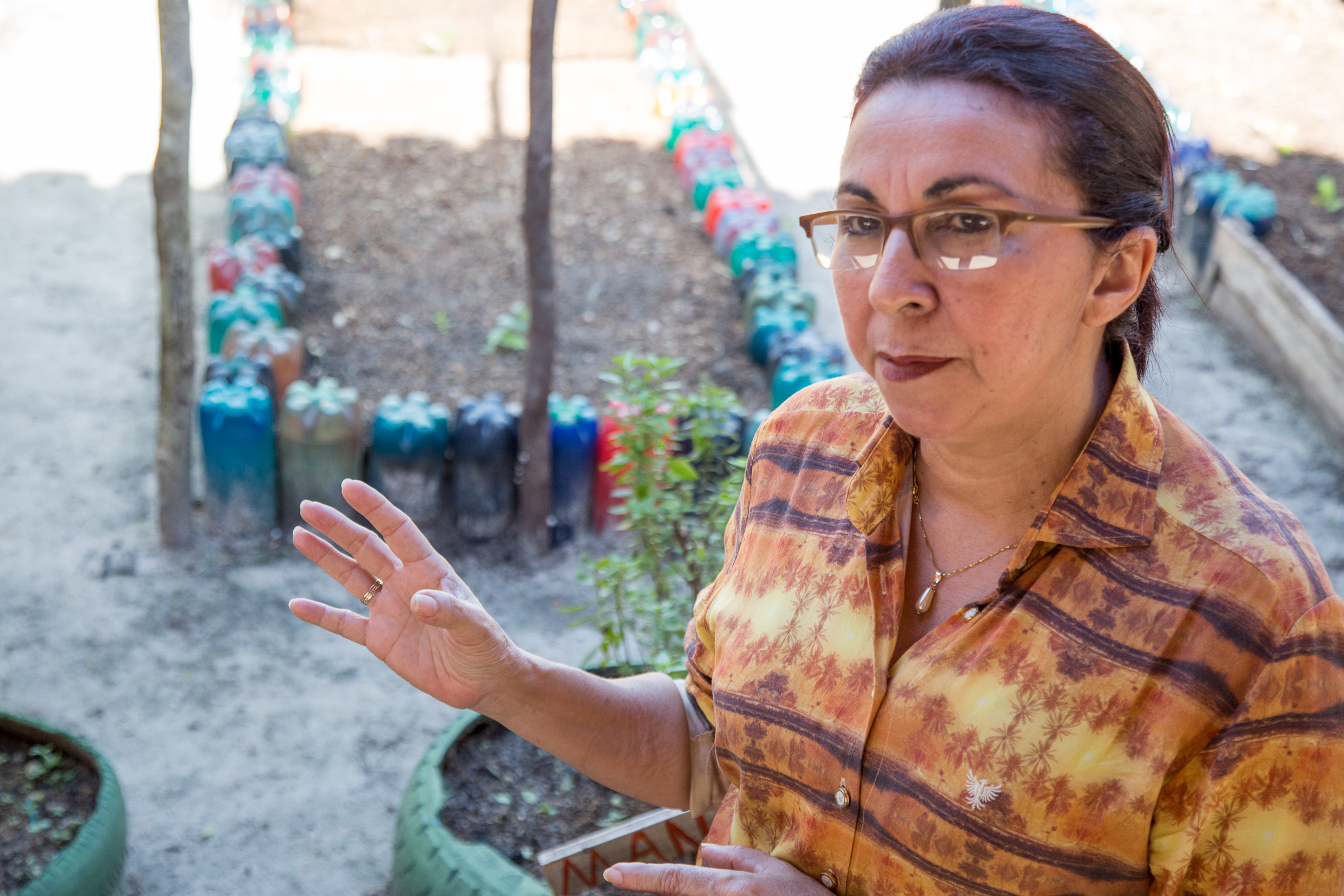  Projeto com hortas escolares na rede municipal incentiva educação alimentar e ambiental