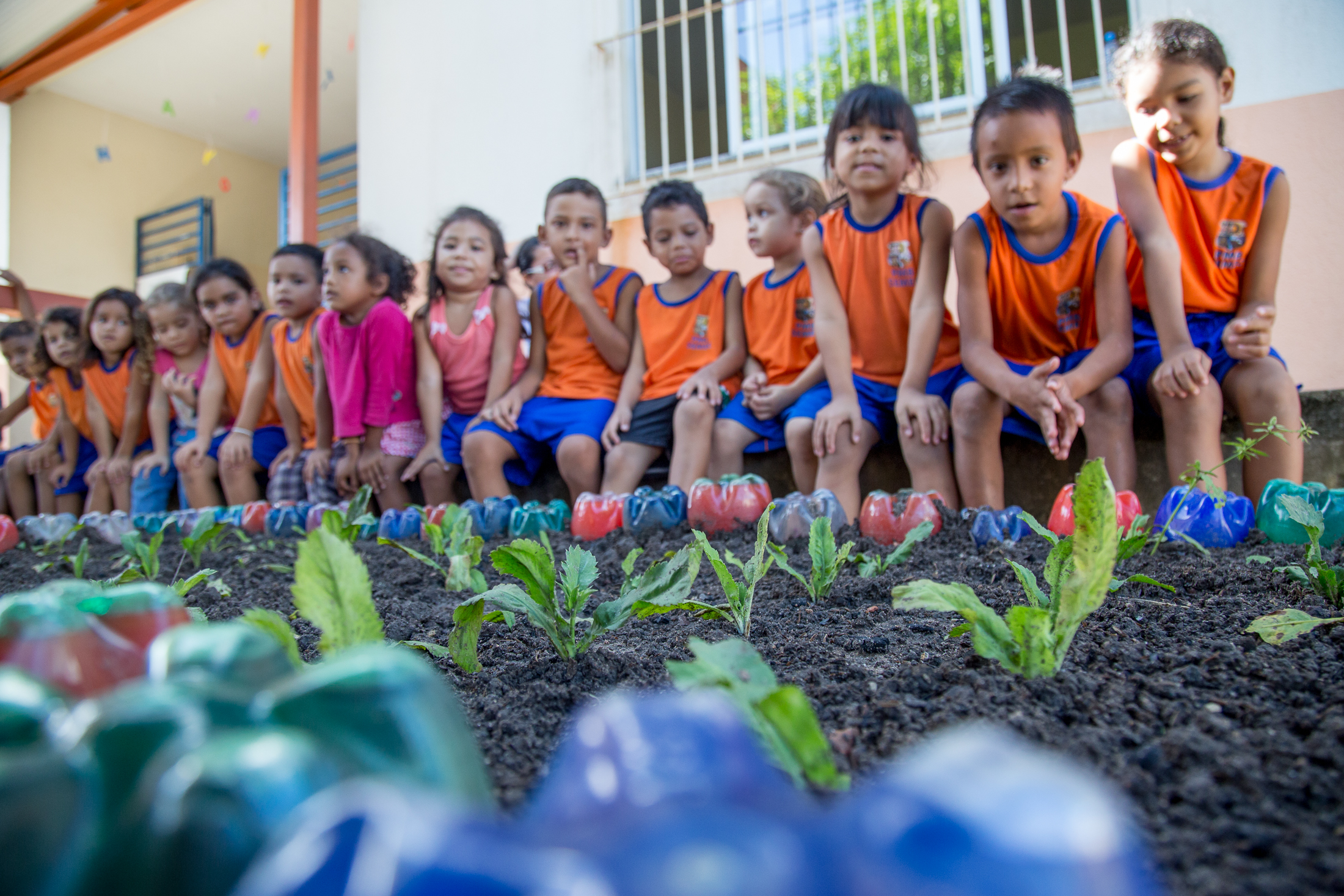  Projeto com hortas escolares na rede municipal incentiva educação alimentar e ambiental