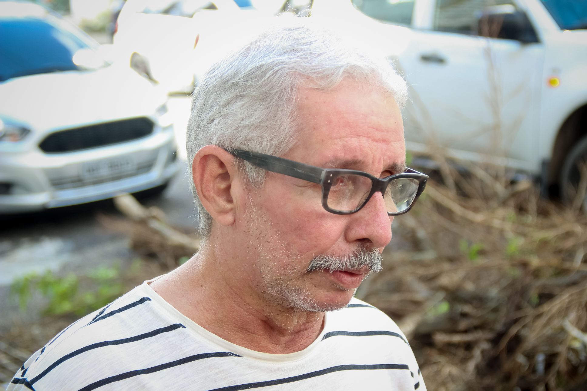Arborização de Belém é ameaçada por vandalismo e poda irregular