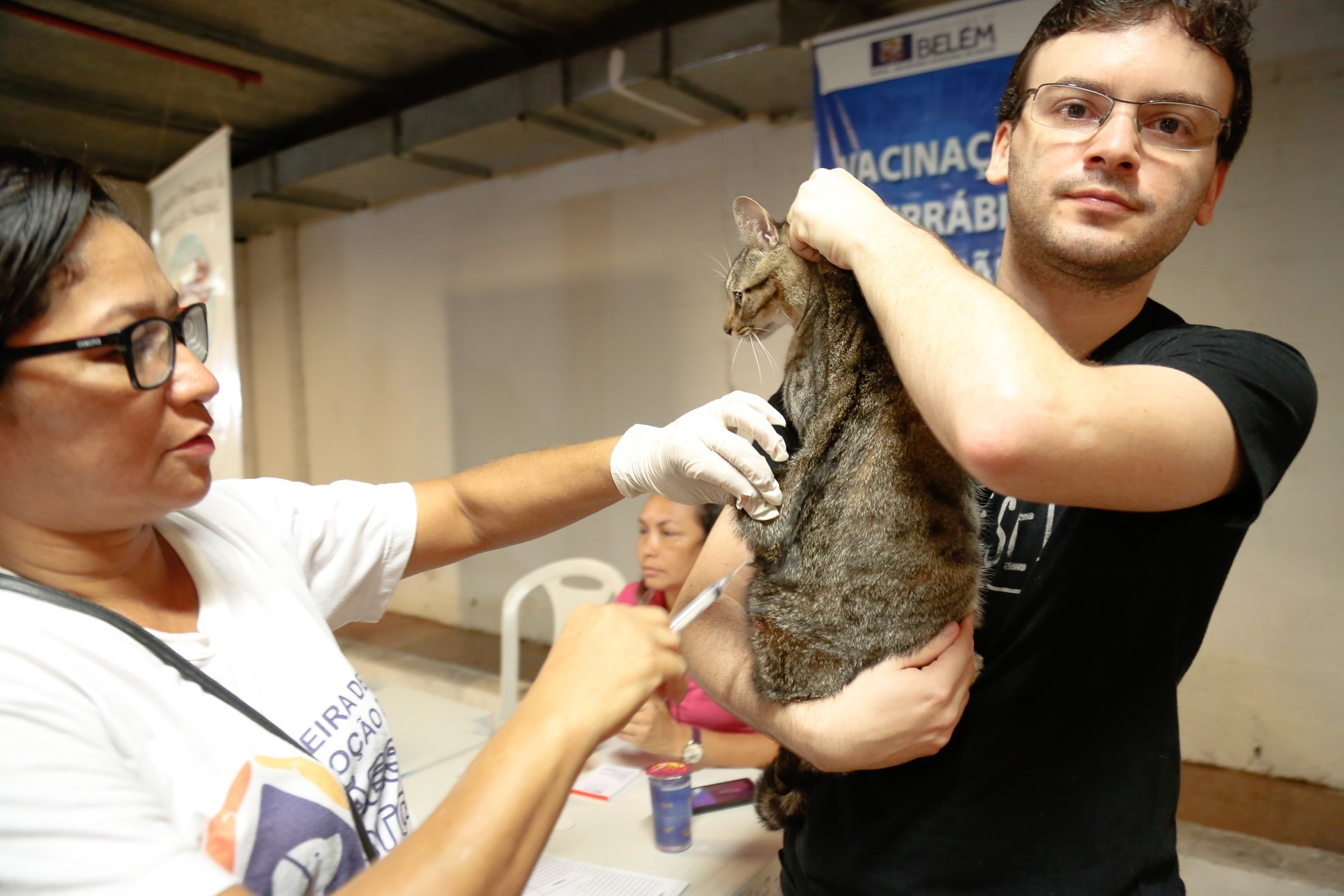 Feira de adoção dá nova oportunidade a cães e gatos