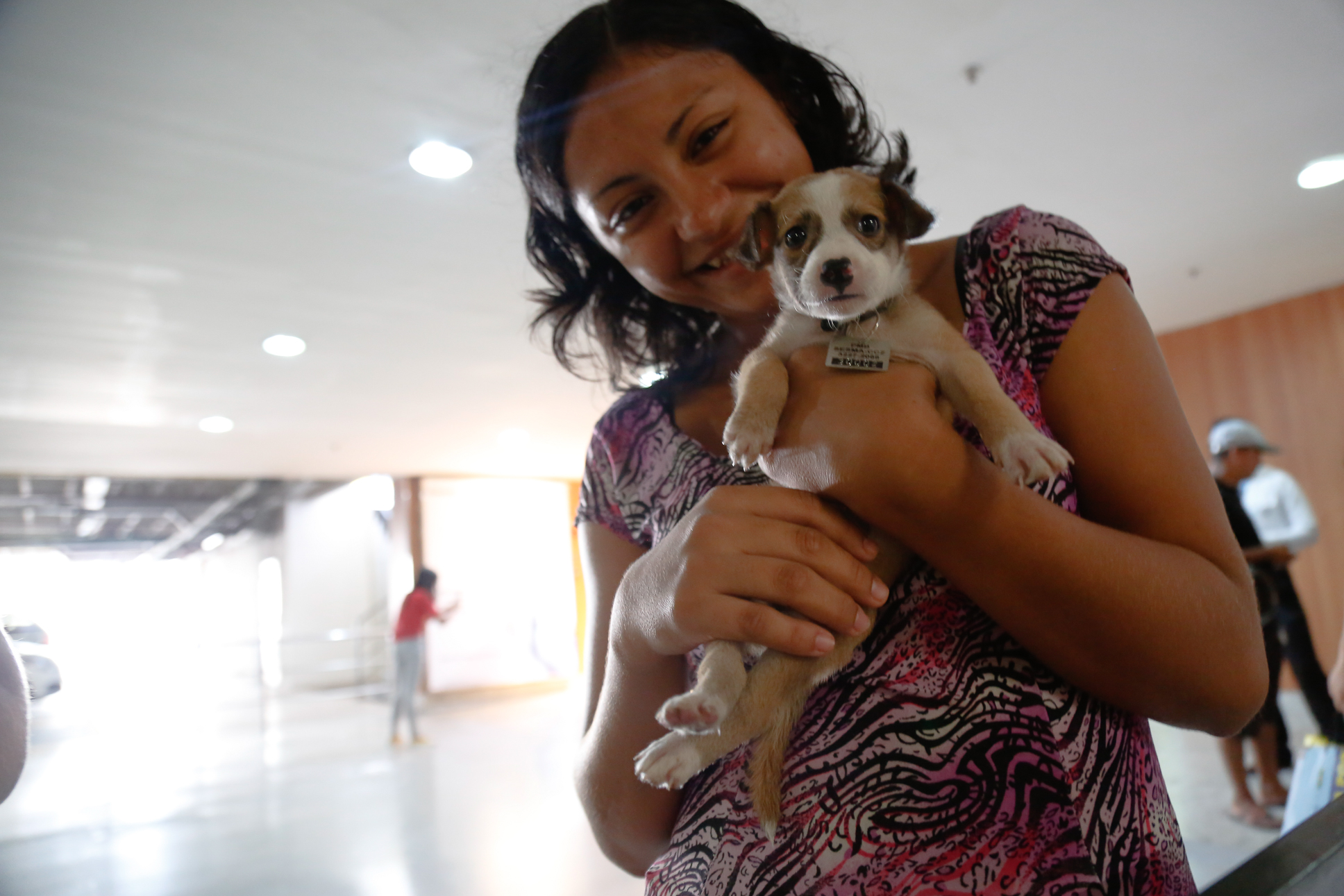 Feira de adoção dá nova oportunidade a cães e gatos