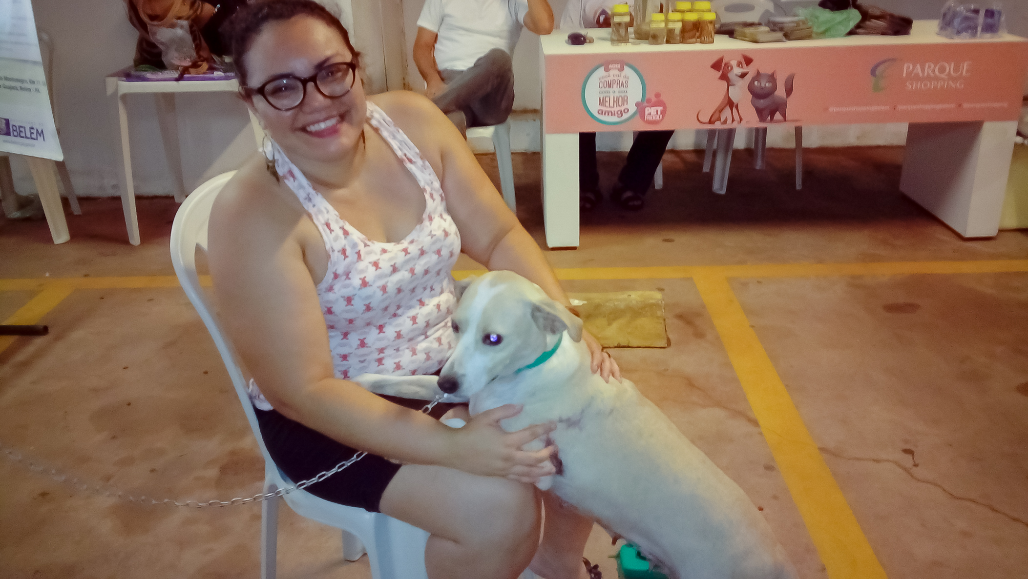 Feira de adoção dá nova oportunidade a cães e gatos