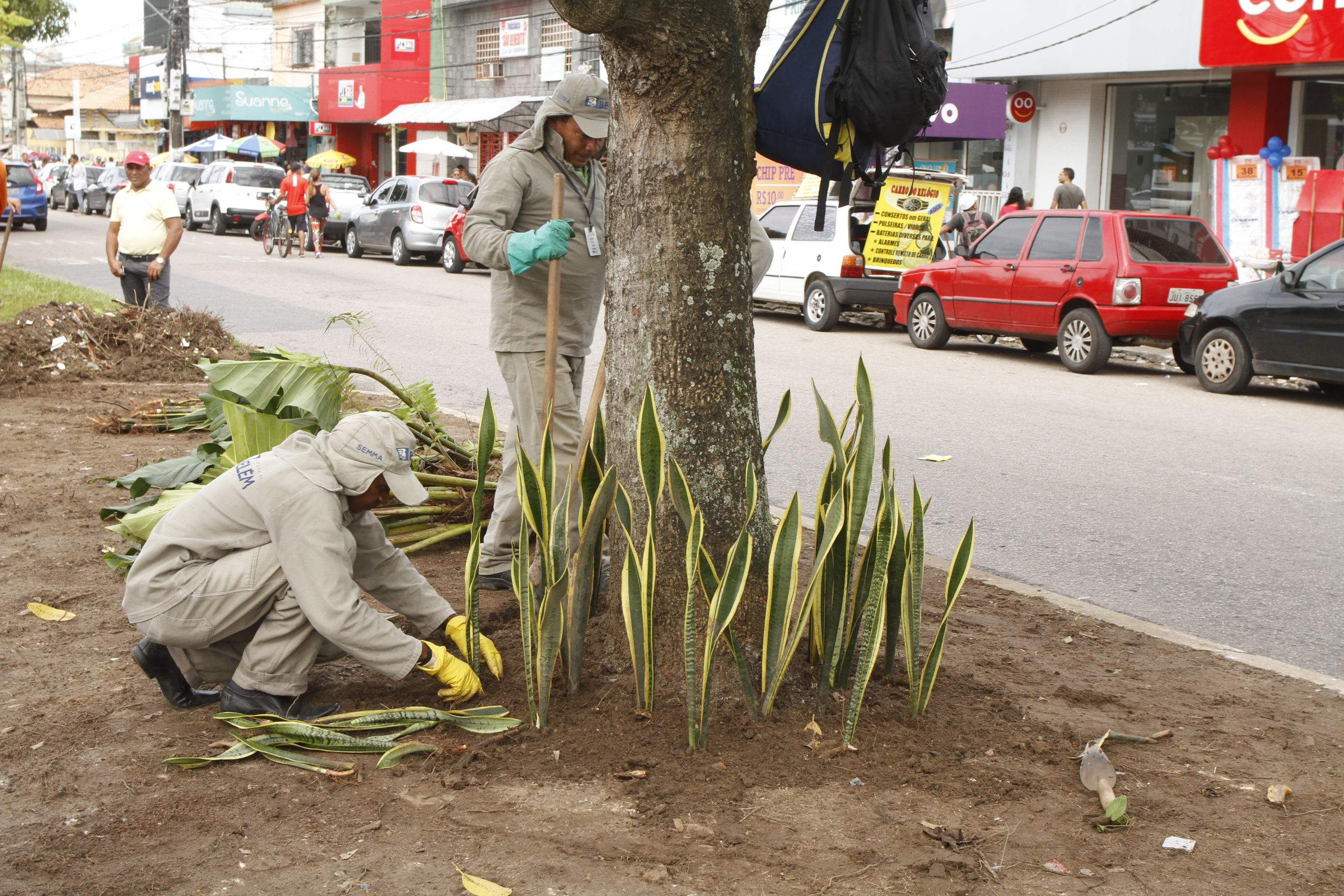 Projeto “Florir Belém” intervém em áreas de despejo irregular de lixo