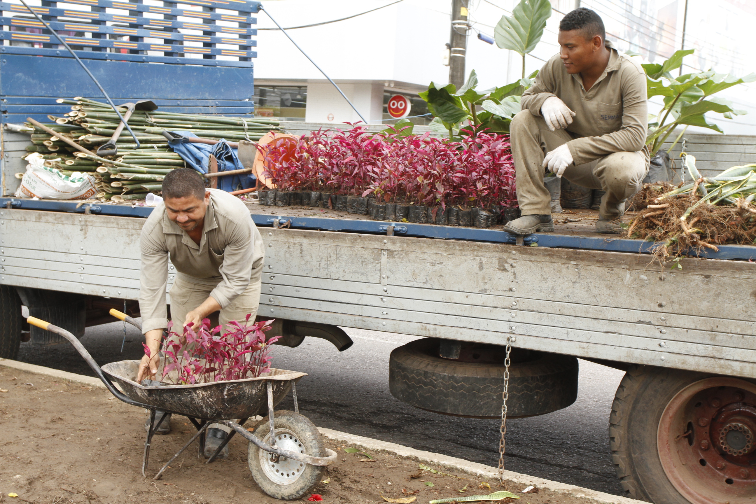 Projeto “Florir Belém” intervém em áreas de despejo irregular de lixo