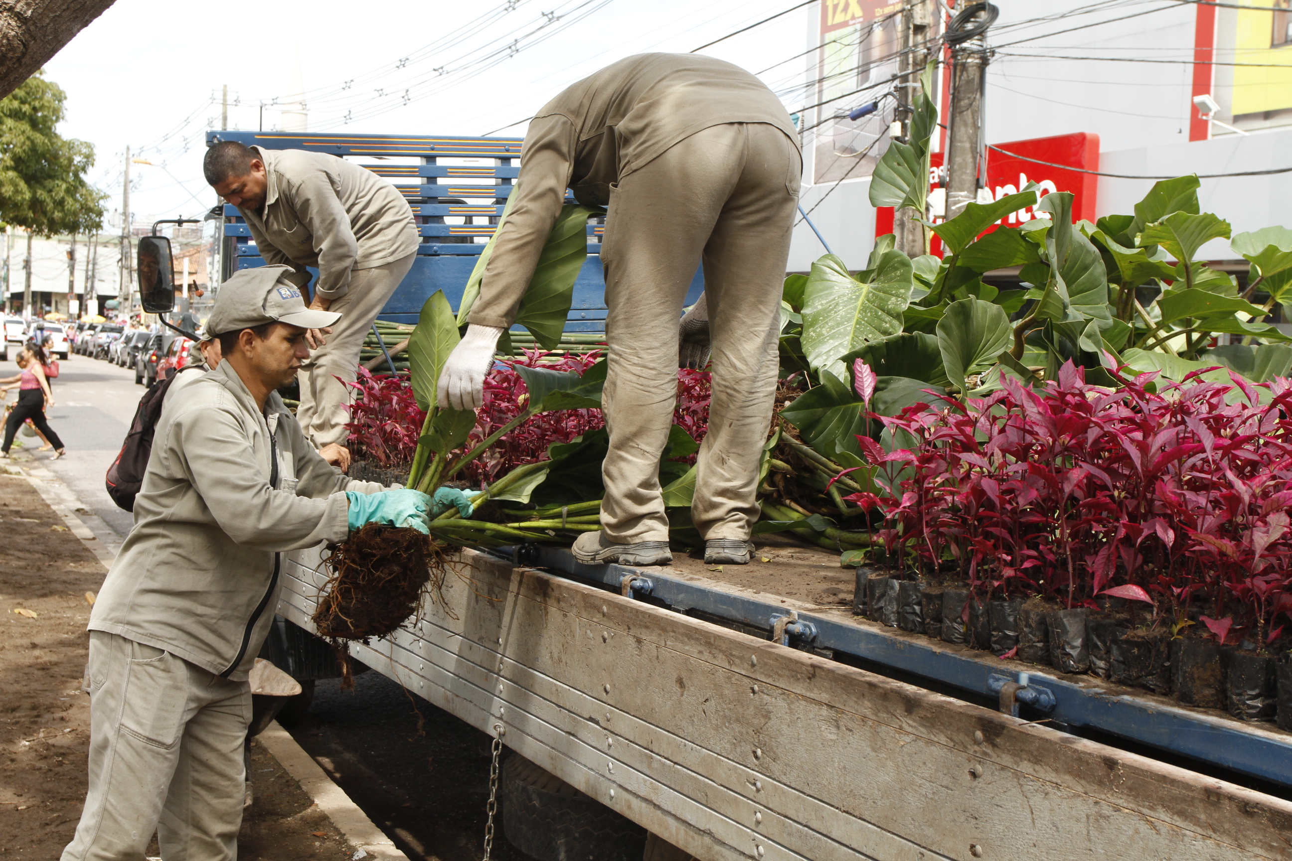 Projeto “Florir Belém” intervém em áreas de despejo irregular de lixo