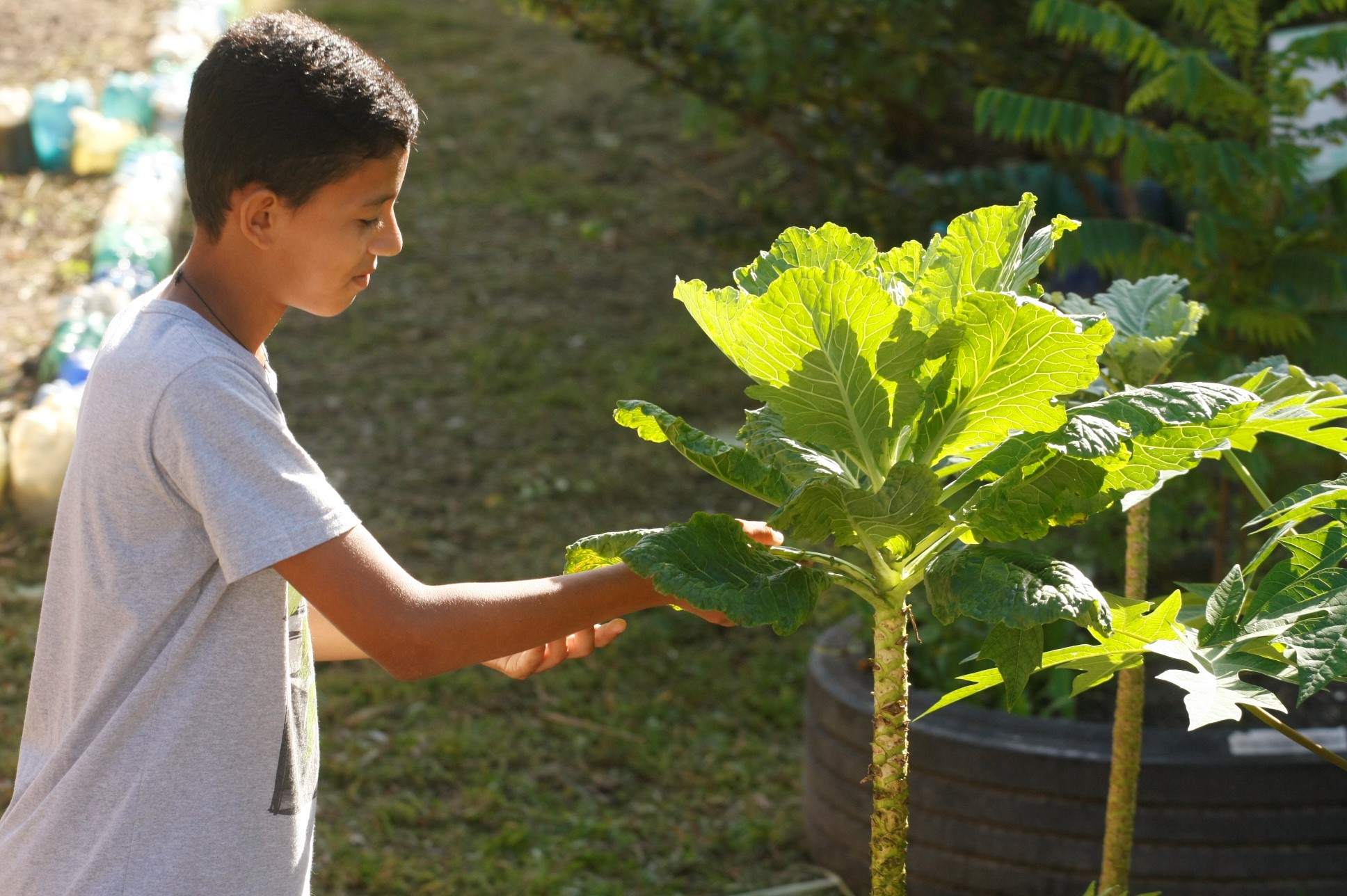 Projeto Educando com a Horta Escolar é lançado em escola de Outeiro