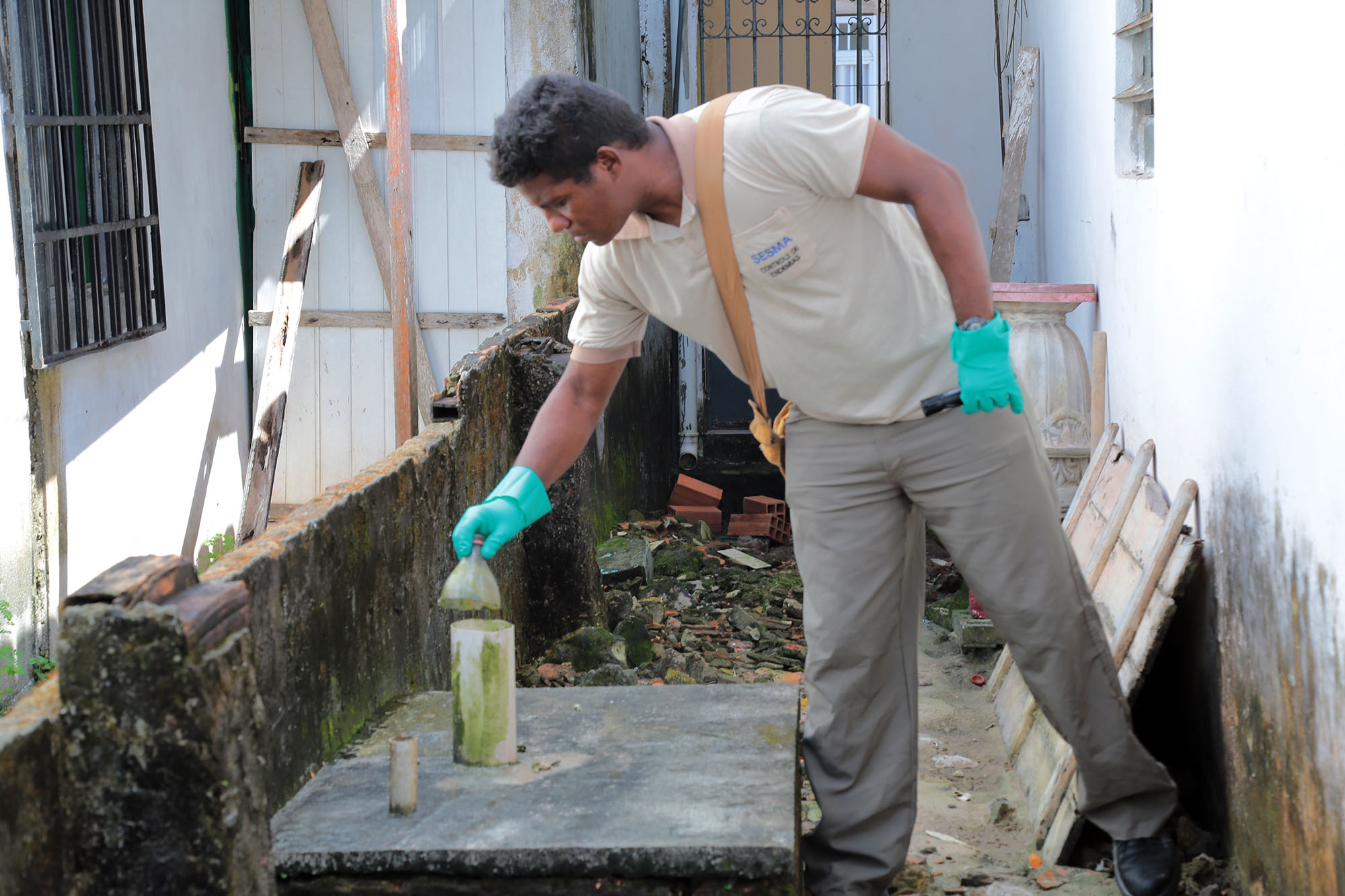 Índice de infestação do mosquito Aedes aegypti cai em Belém