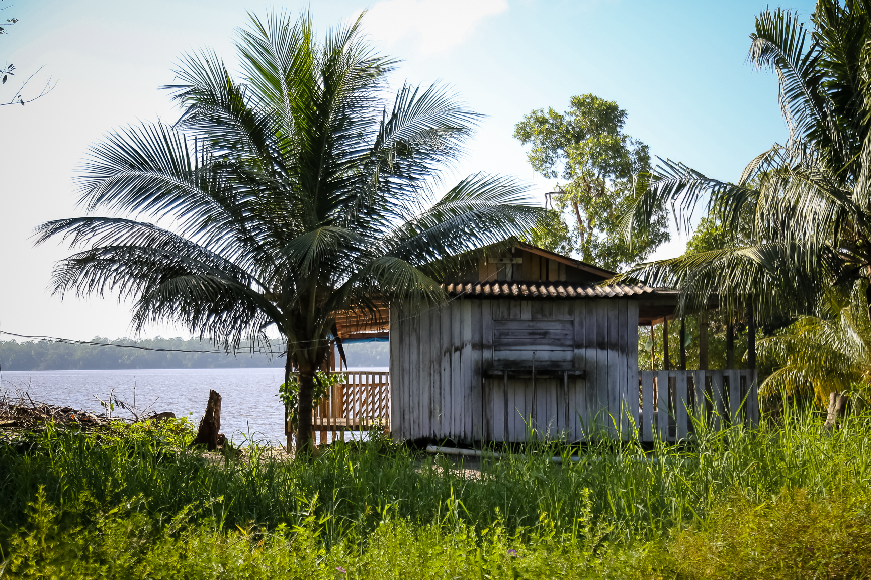 Ecomuseu da Amazônia realiza trilha ecológica e valoriza comunidade de Cotijuba