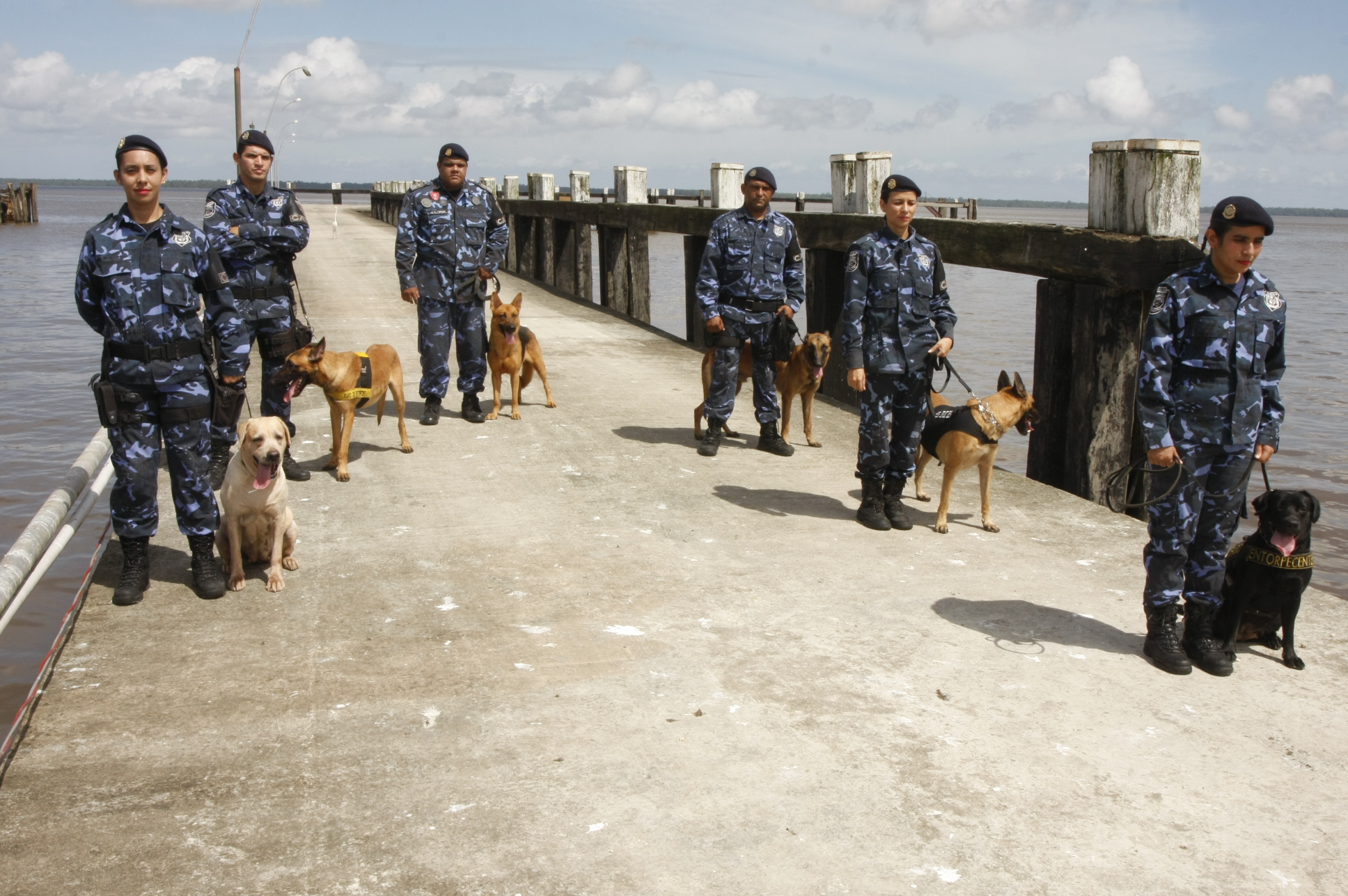 Trabalho da Guarda Municipal com cães é referência no combate ao tráfico de drogas