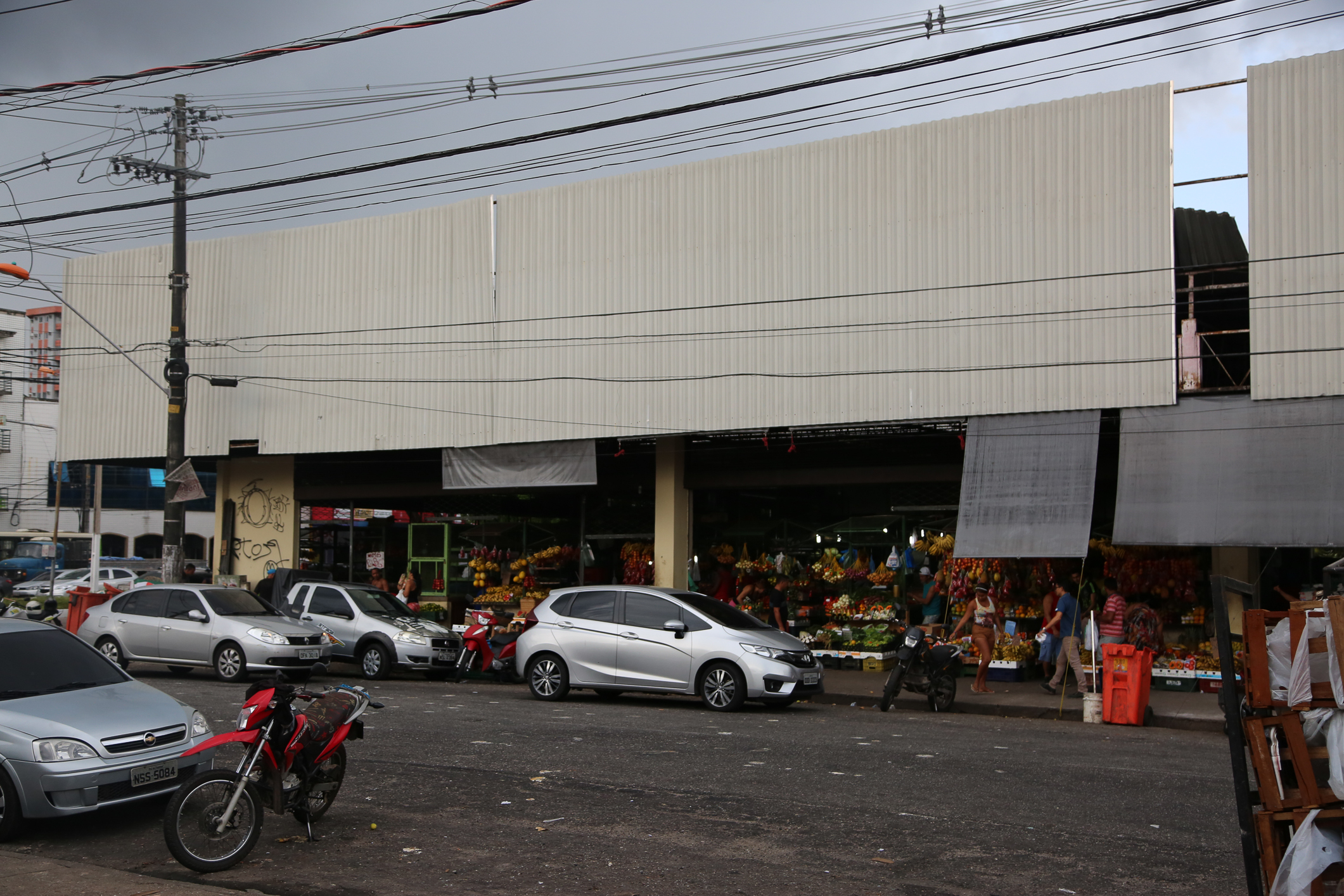 Centro de Controle de Zoonoses recolhe gatos e desratiza a Feira da Pedreira