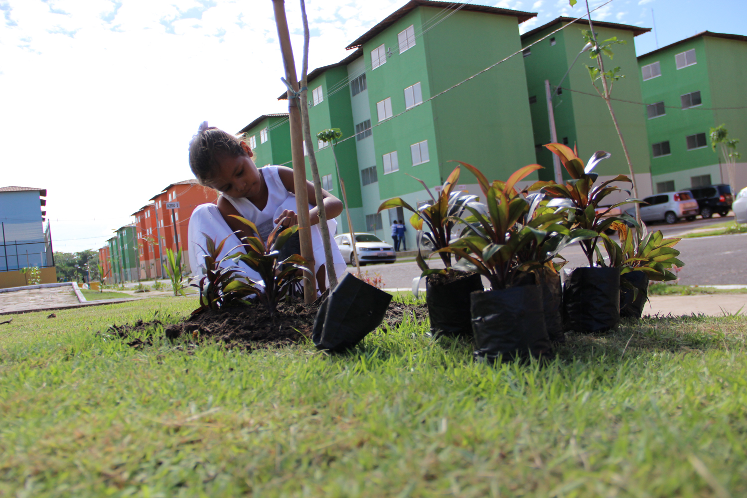 Projeto Florir Belém arboriza residencial Viver Primavera