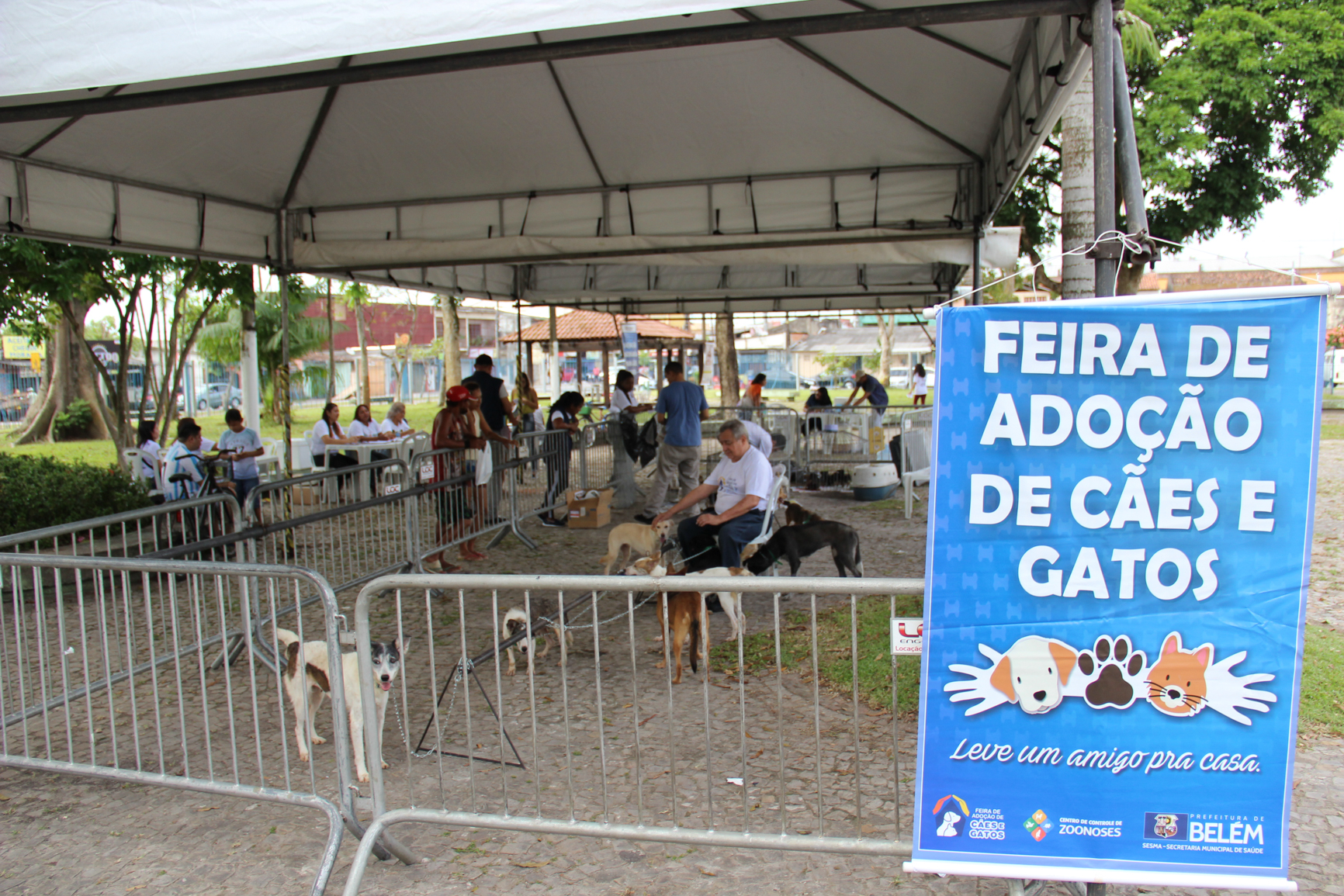 Feira de Adoção de Cães e Gatos atrai moradores do bairro da Marambaia